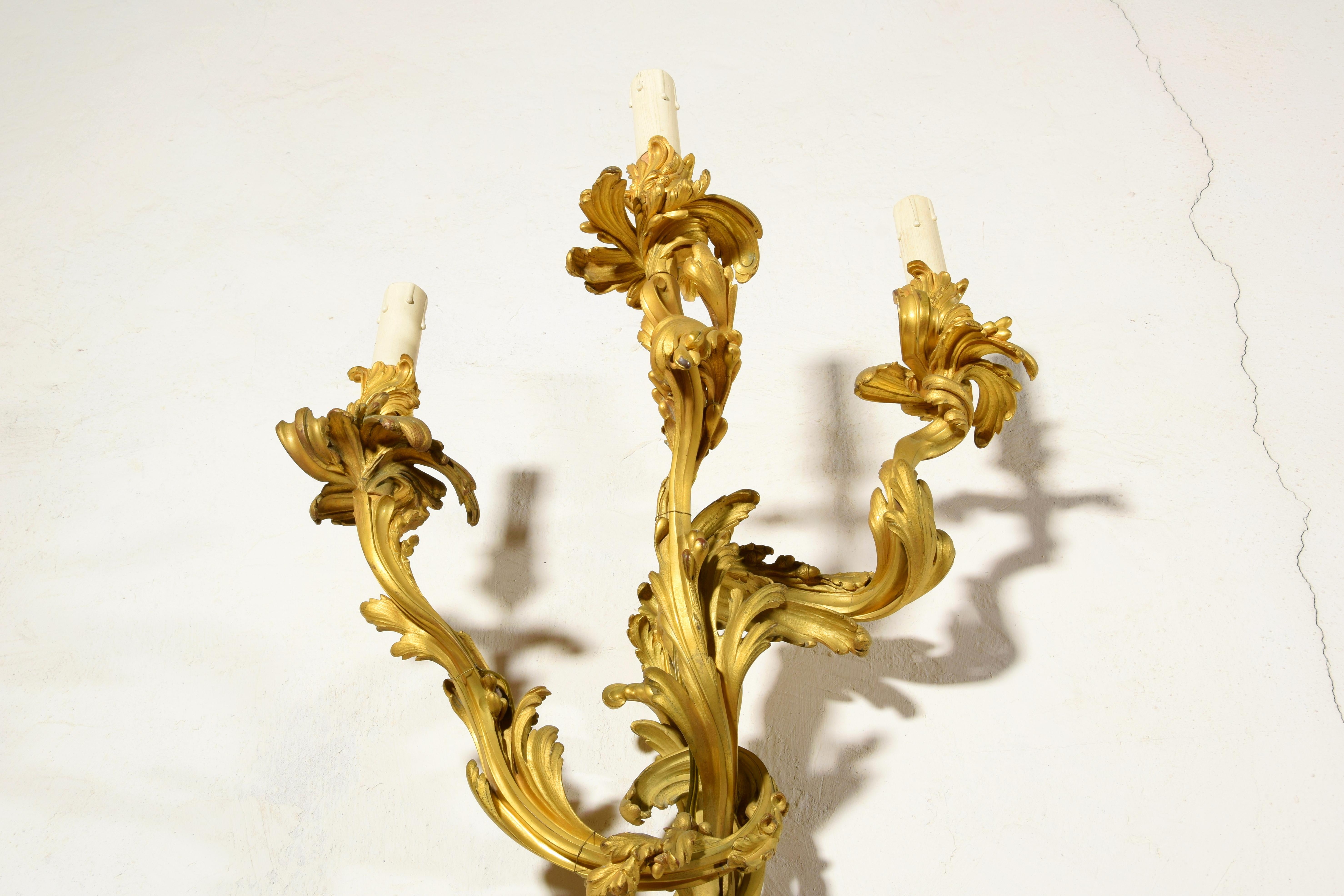 Paar dreiflammige vergoldete Bronze-Applikationen im französischen Louis-XV-Stil des 19. Jahrhunderts im Angebot 13