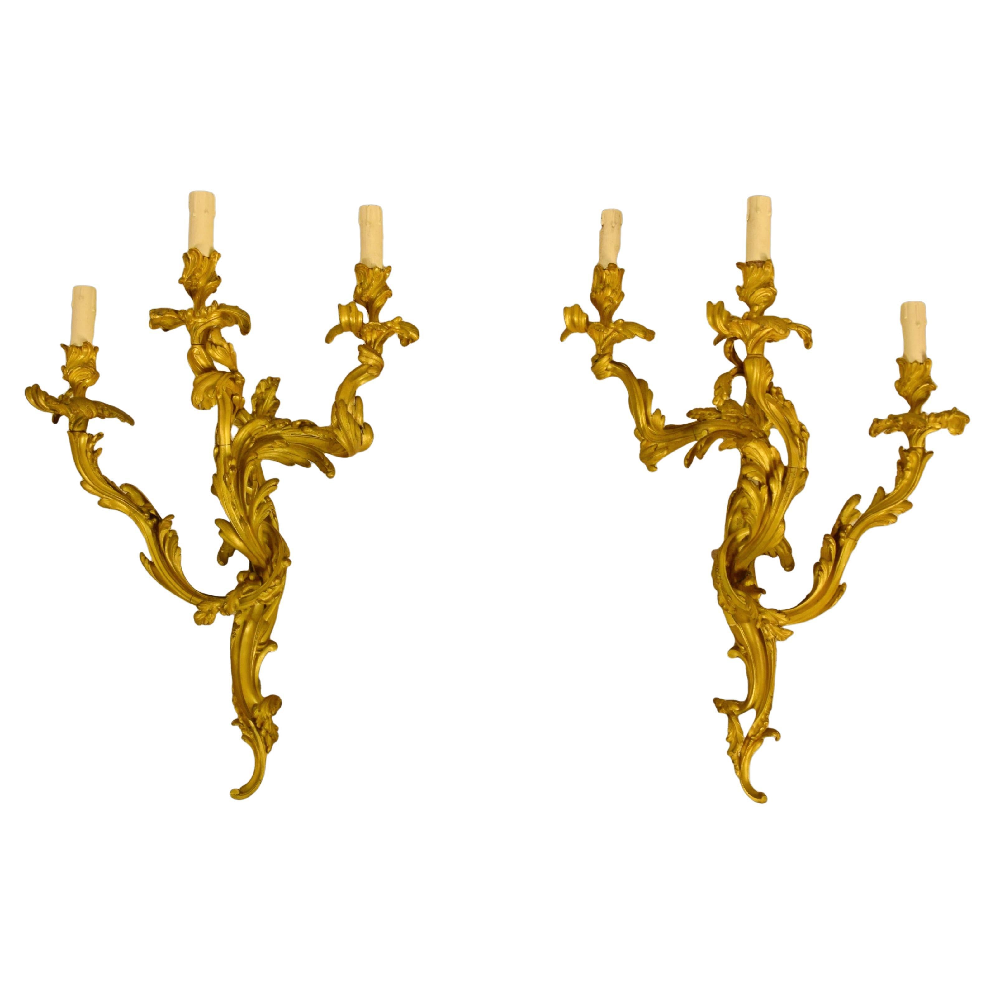 Paar dreiflammige vergoldete Bronze-Applikationen im französischen Louis-XV-Stil des 19. Jahrhunderts