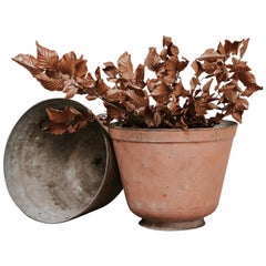 19th Century Pair of Tole Jardinières