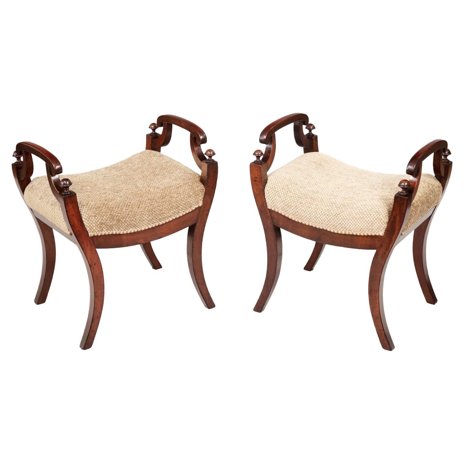 19th Century Pair of William IV Twin Handled Stools For Sale