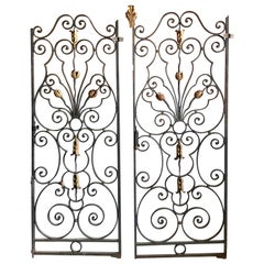 19th Century Pair of Wrought Iron Doors from France 19th Century Pair of Wrought Iron Doors from France