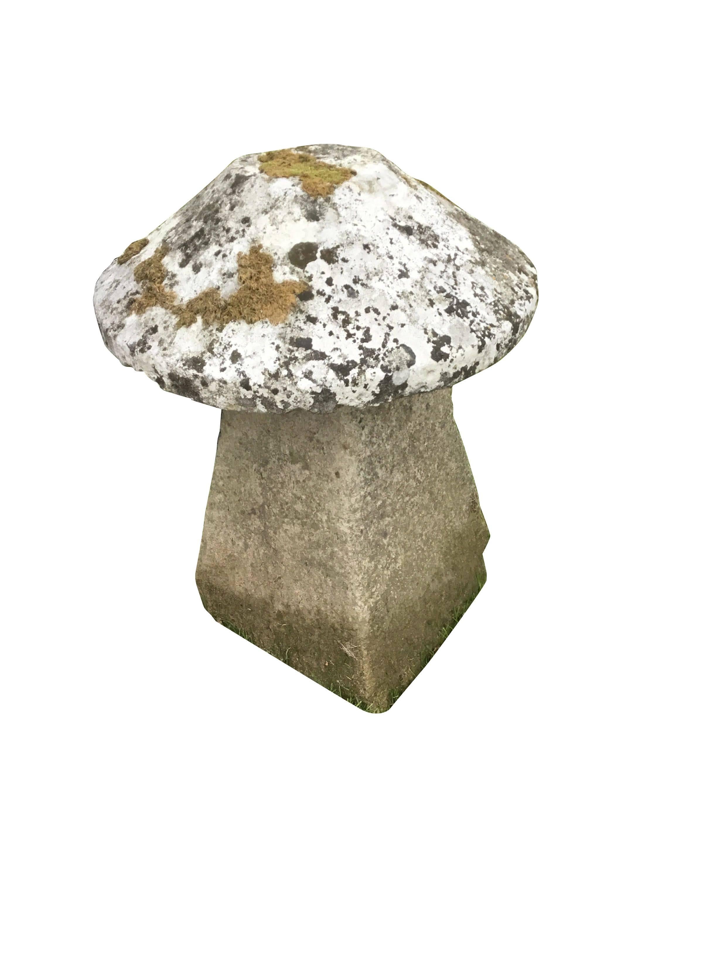 19th century English pair of impressively sized staddle stones from Cornwall.
Oversized mushroom tops with original moss and lichen.
Beautiful natural patina.