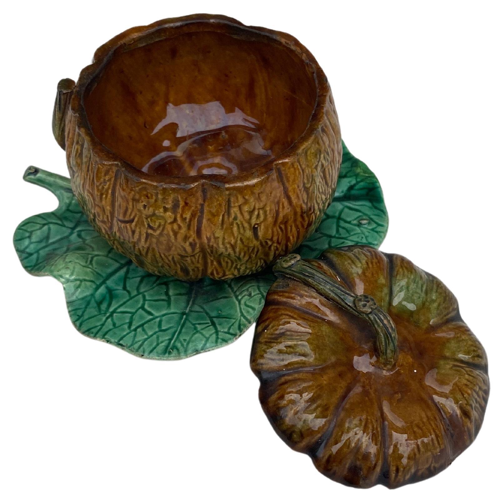 Rustic 19th Century Palissy Majolica Pumpkin Tureen  For Sale