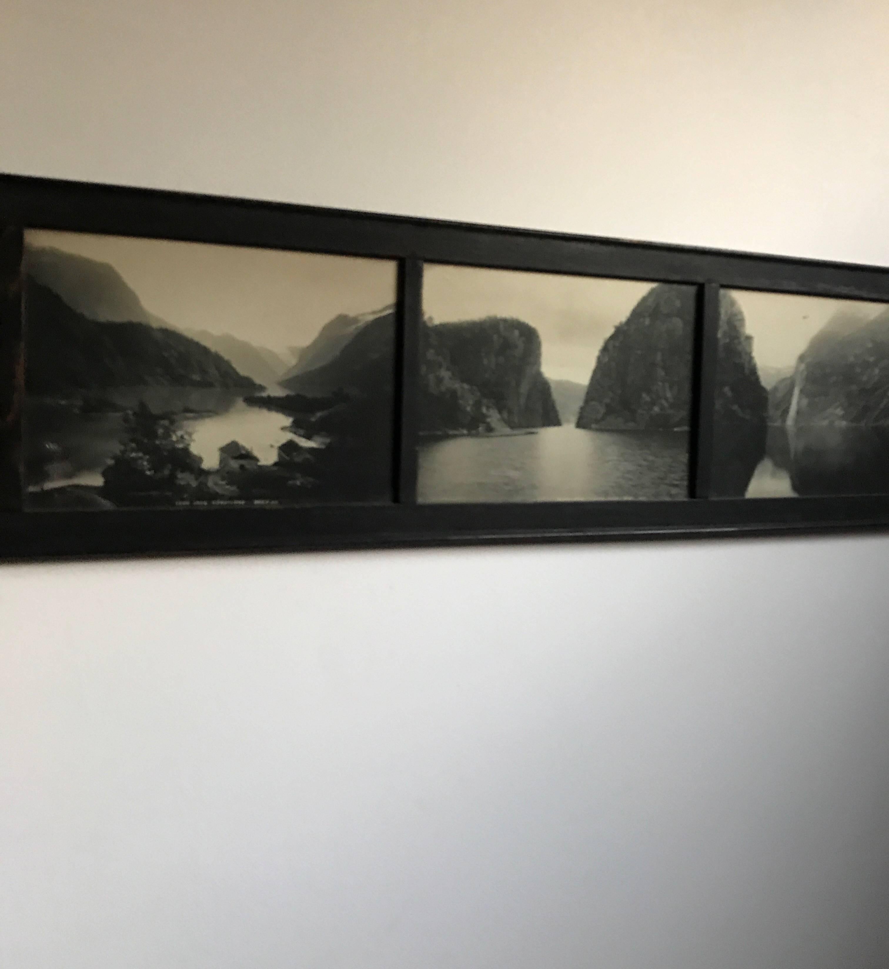 19th Century Panaramic Scenic Black and White Photograph of Loen Lake Nordfjord For Sale 7