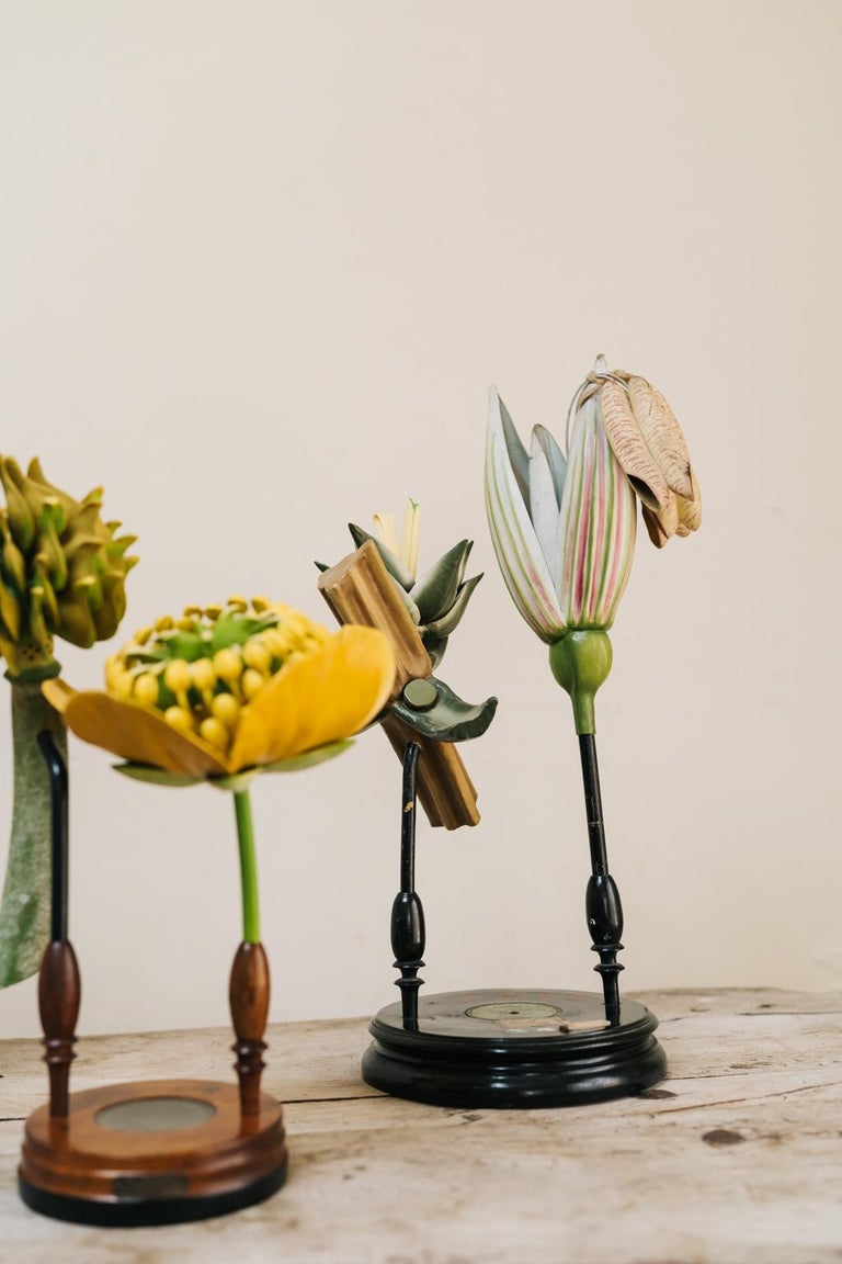 flowermodels 
