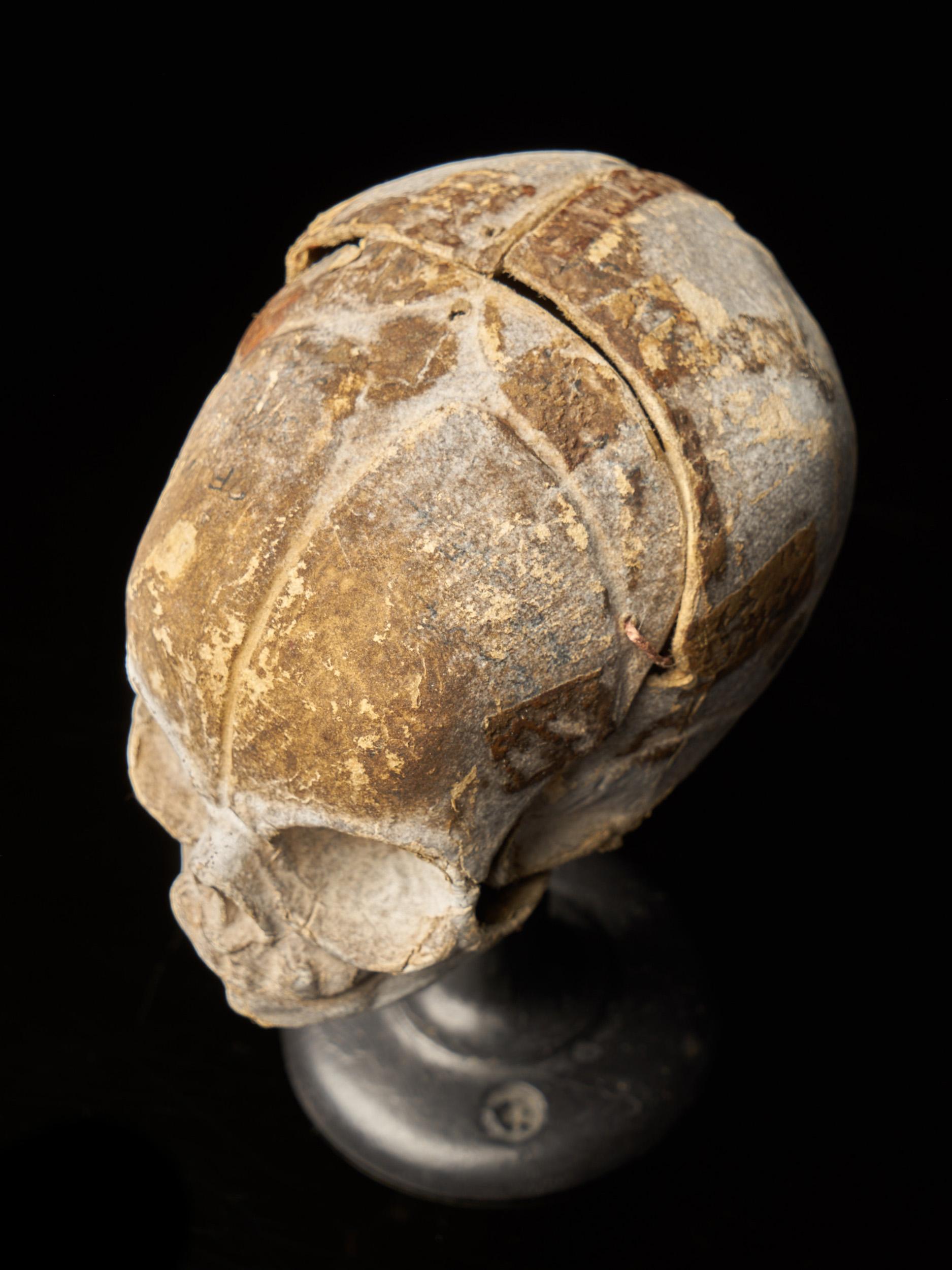 19th Century Papier-Mâché Fetal Skull 1