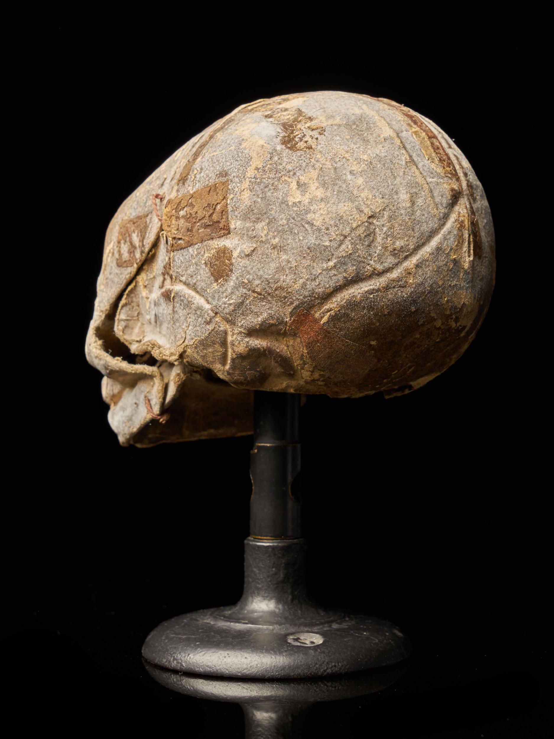 19th Century Papier-Mâché Fetal Skull In Good Condition In Leuven , BE