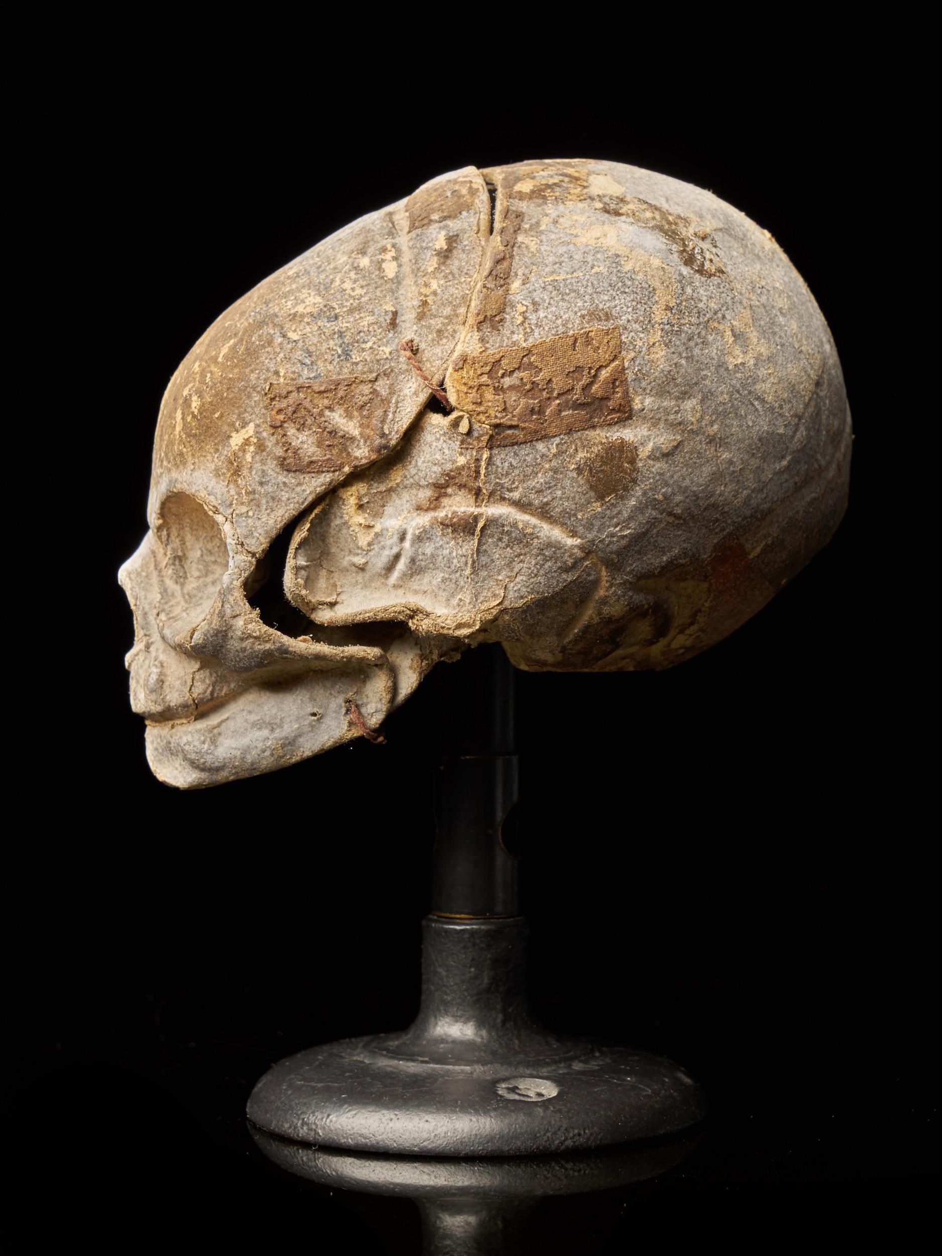 Paper 19th Century Papier-Mâché Fetal Skull