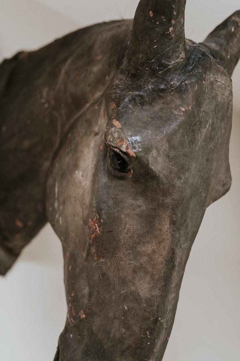 19th Century Papier Mâché Horse Head at 1stDibs