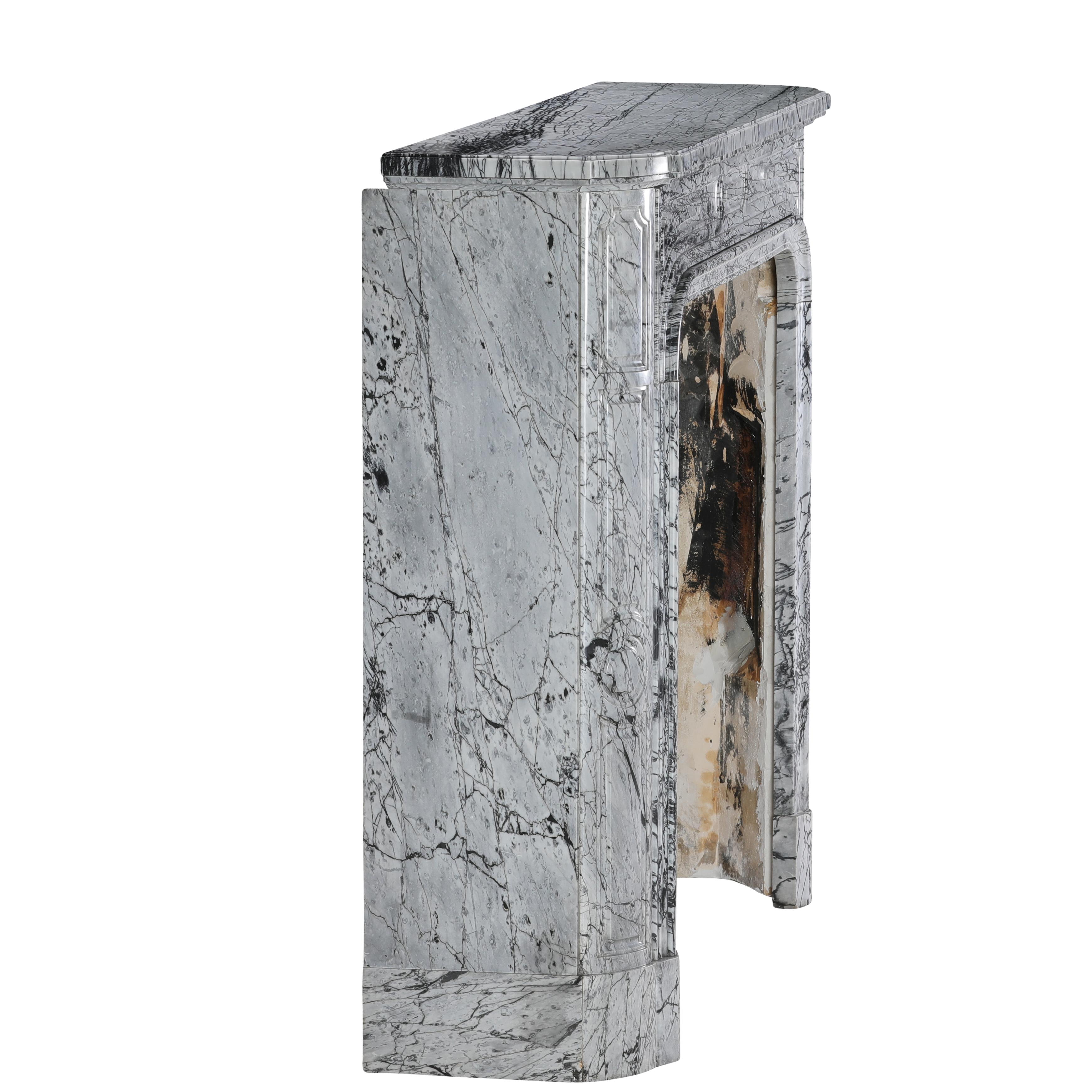 19th-Century Parisian Marble Fireplace in Bleu Fleuri  Authentic French Mantel For Sale 14
