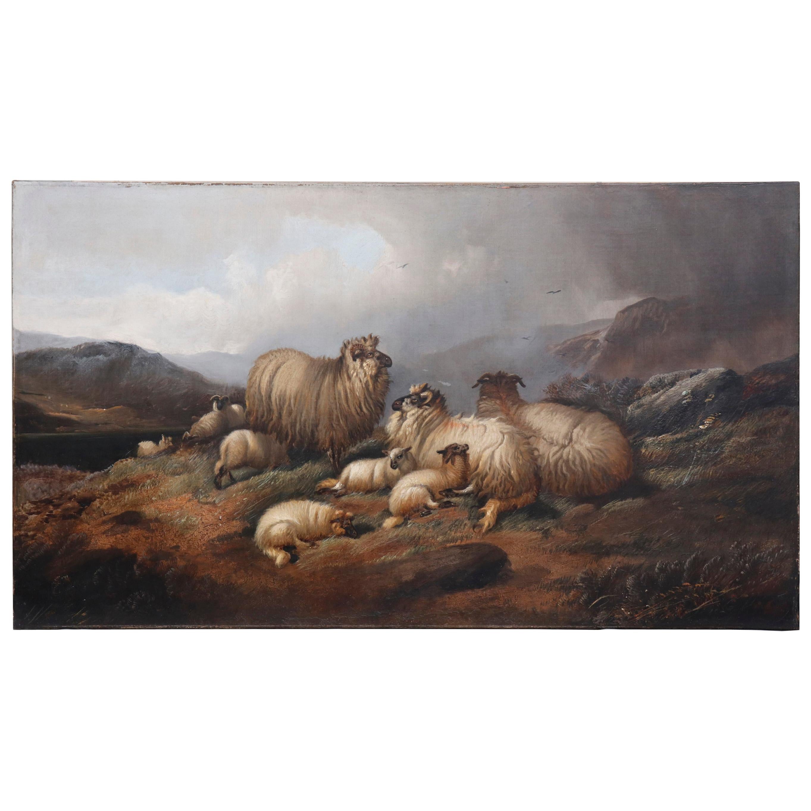 Une peinture du 19ème siècle magnifiquement rendue de moutons dans un cadre pastoral. La peinture mesure 43 pouces par 24 pouces. Restauré professionnellement et non signé.