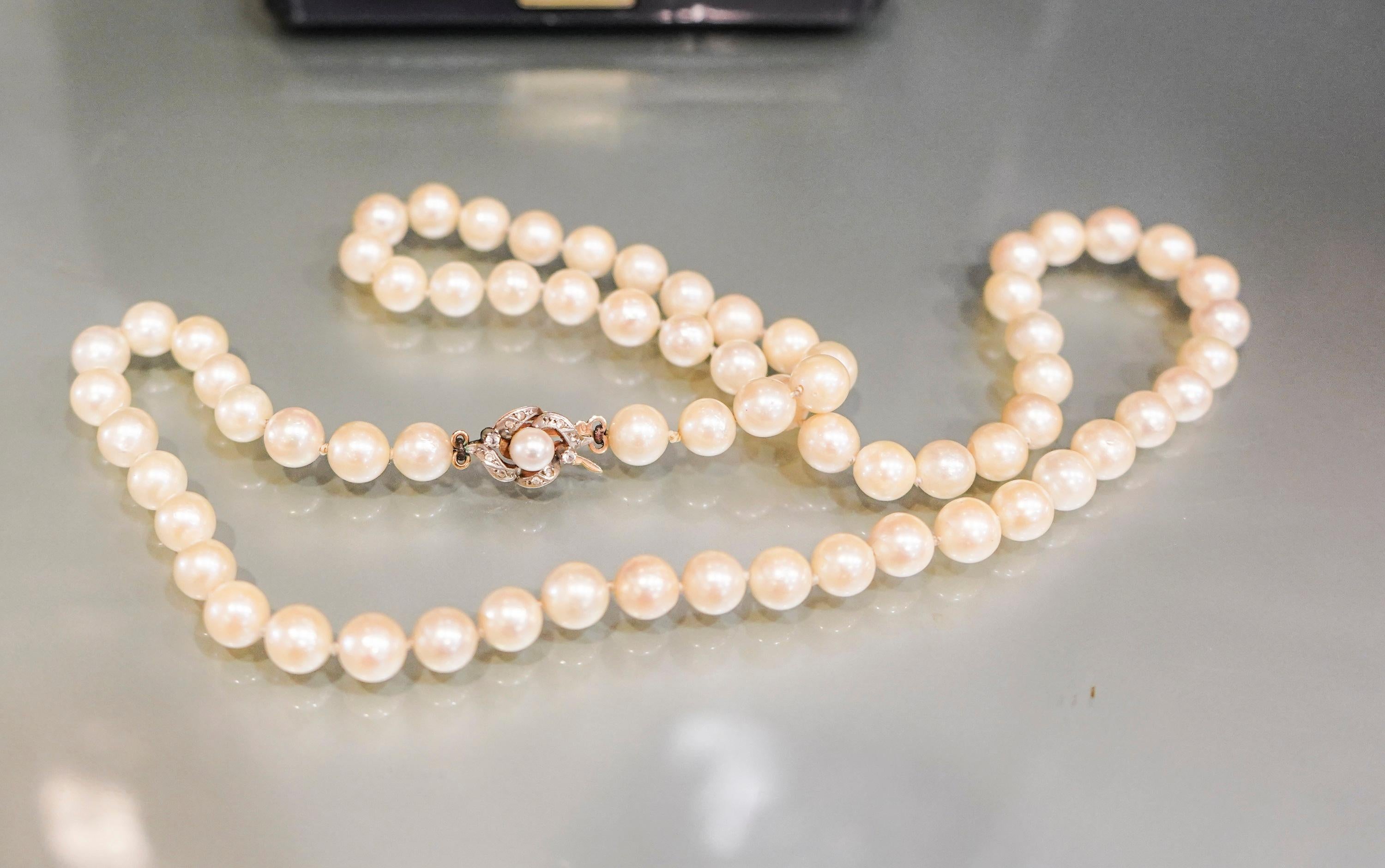 19th Century Pearl Necklace and Brooch Ingold and Diamonds Cut Brilliant 3