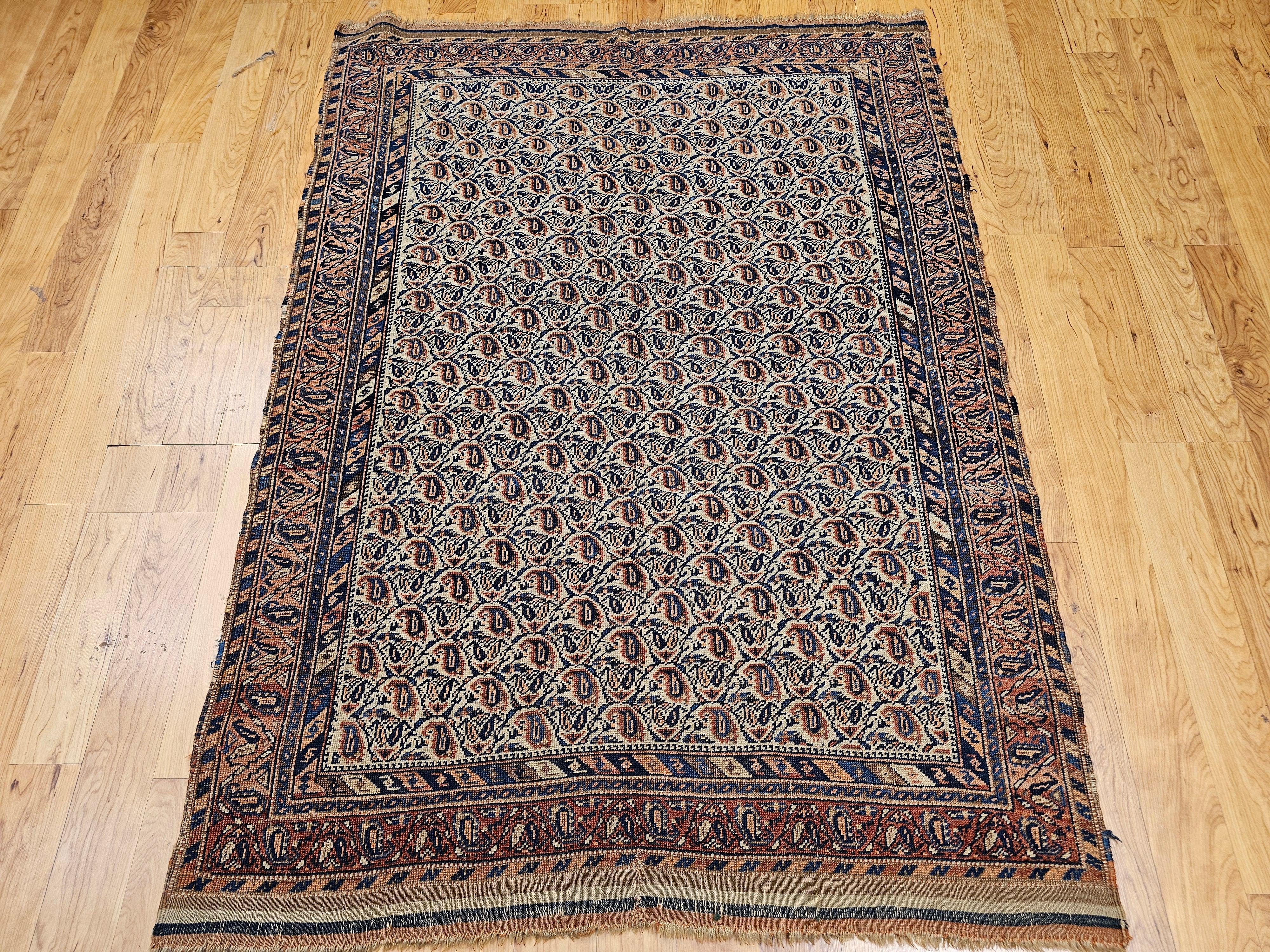 Un bellissimo tappeto tribale persiano Afshar della fine del XIX secolo, annodato a mano con un raffinato disegno paisley allover. Su un raro fondo avorio, questo tessuto presenta motivi boteh (paisley) ripetuti nei caldi toni del ruggine e del