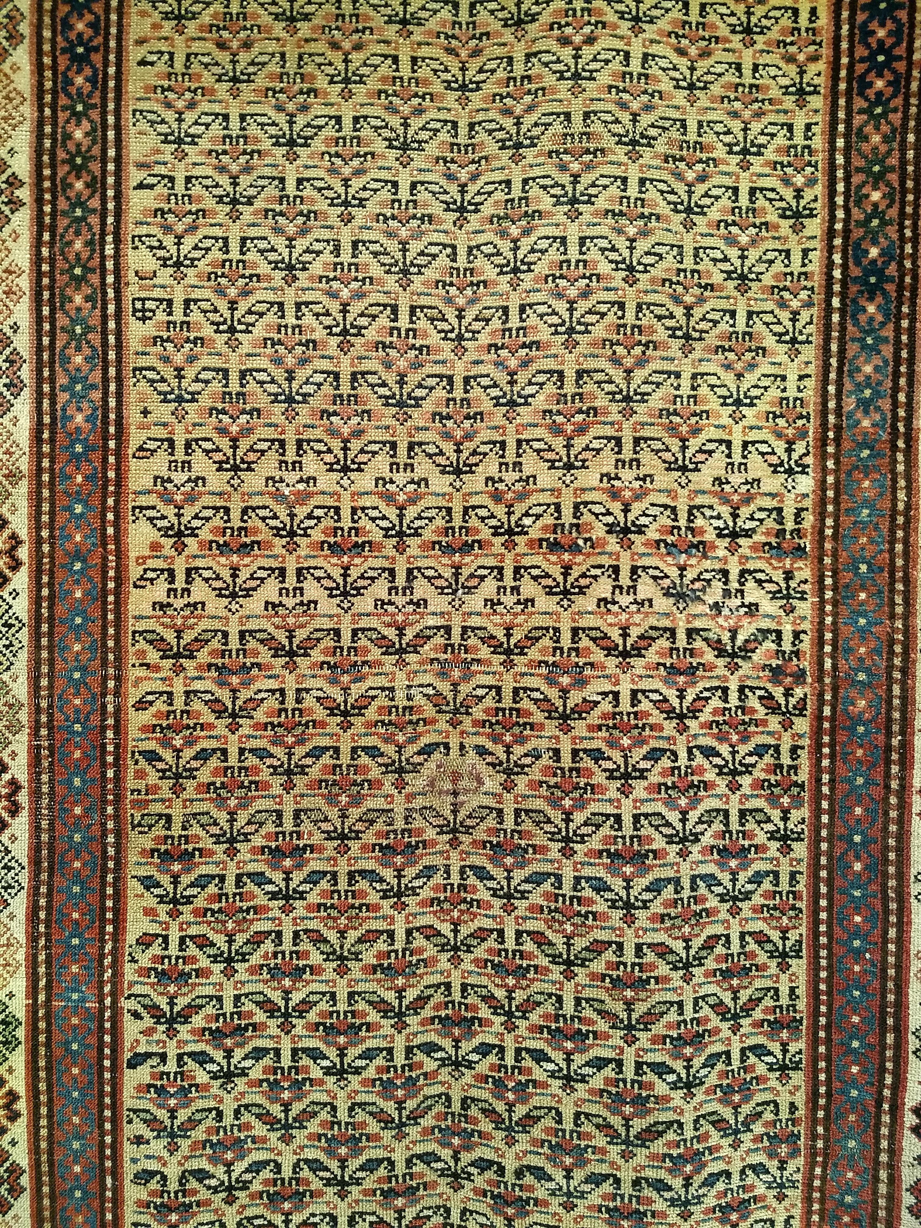 Vegetable Dyed 19th Century Persian Kurdish Bidjar in Allover Pattern in Pale Yellow, Ivory For Sale
