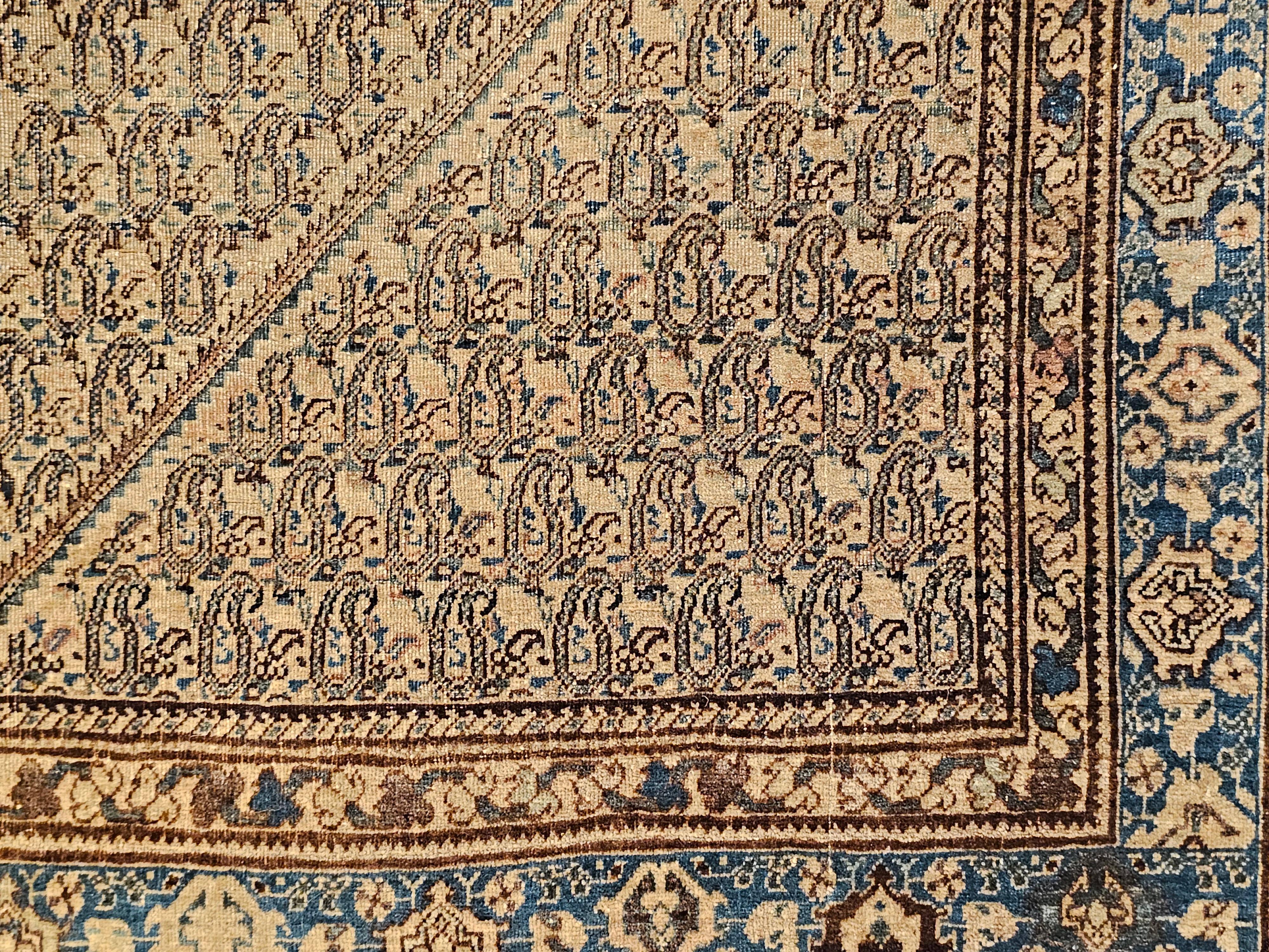 19th Century Persian Senneh in a Paisley Pattern in Chocolate and French Blue For Sale 6