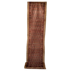19th Century Persian Serab Camelhair Runner