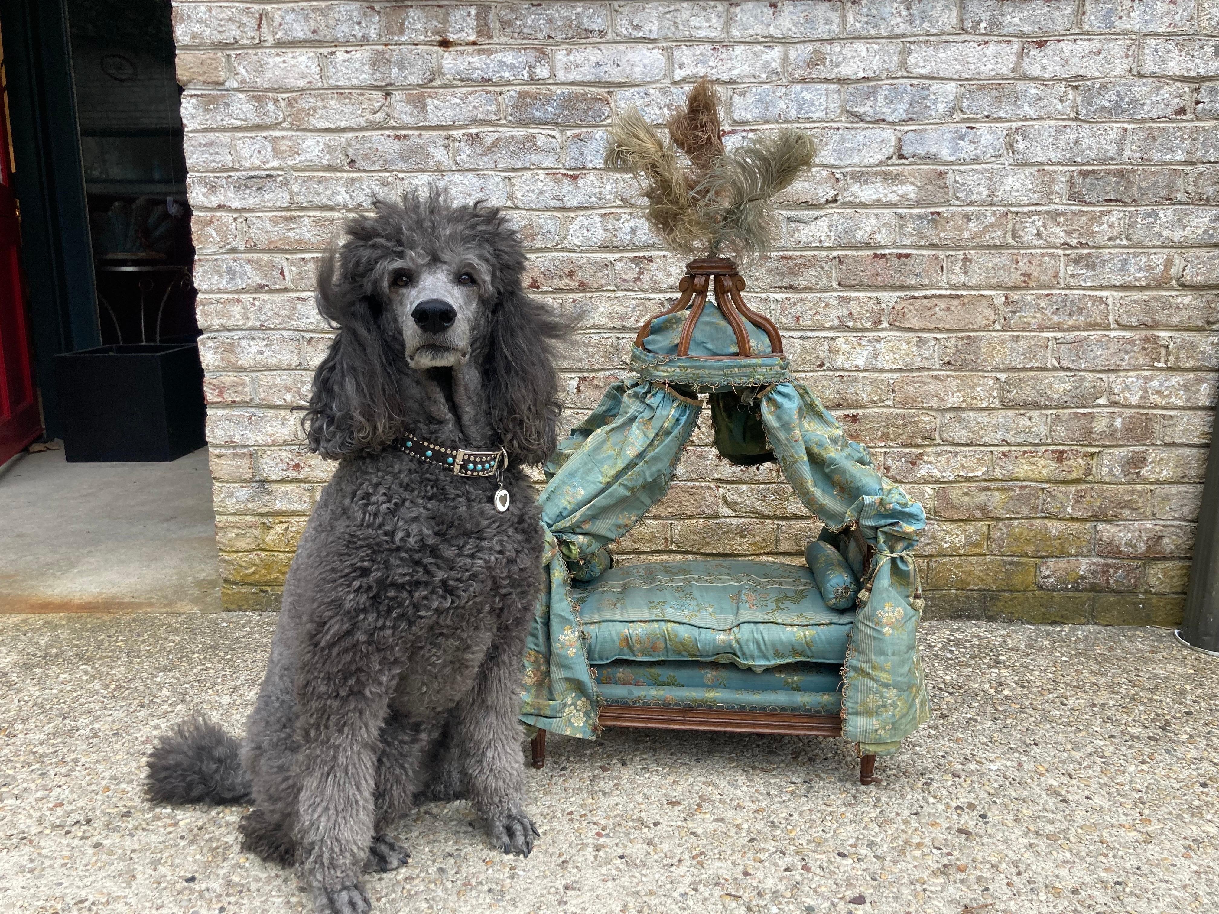 19th Century Pet or Doll Bed For Sale 7