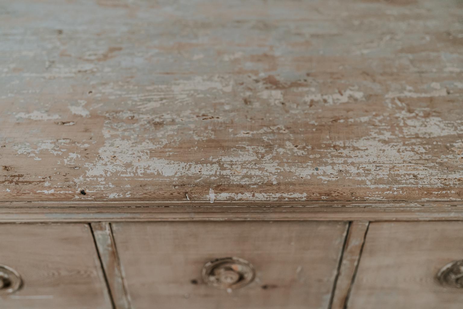 19th Century Pine Bank of Drawers/Commode/Chest of Drawers 6