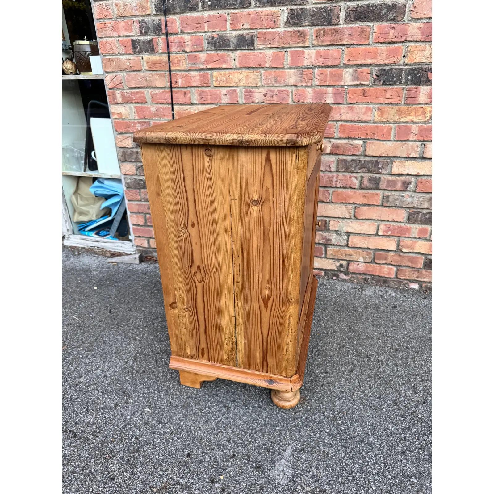 19th Century Pine Cabinet Side Table For Sale 4