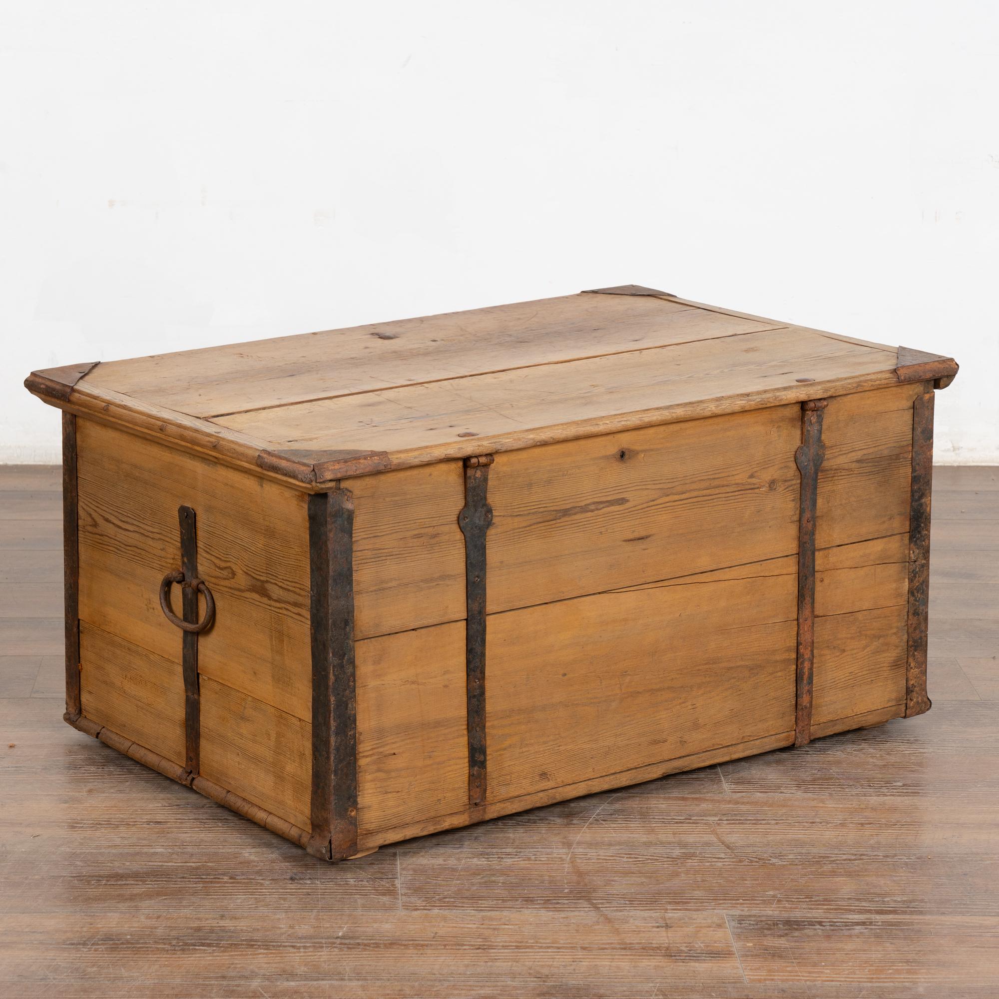 19th Century Pine Flat Top Trunk from Sweden 4
