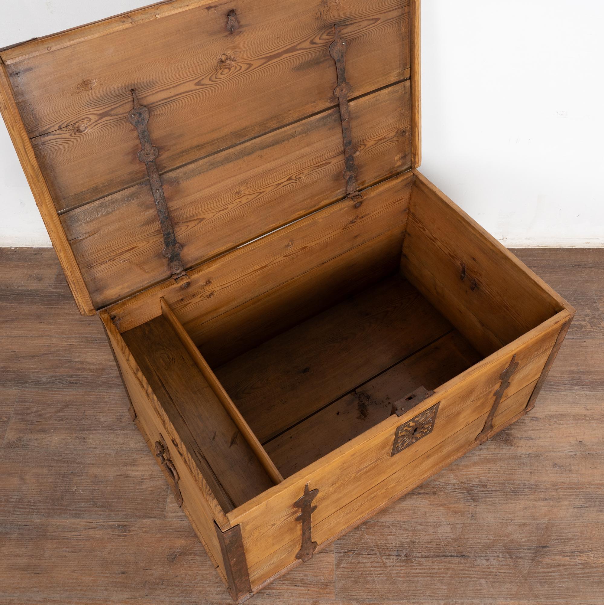 Swedish 19th Century Pine Flat Top Trunk from Sweden