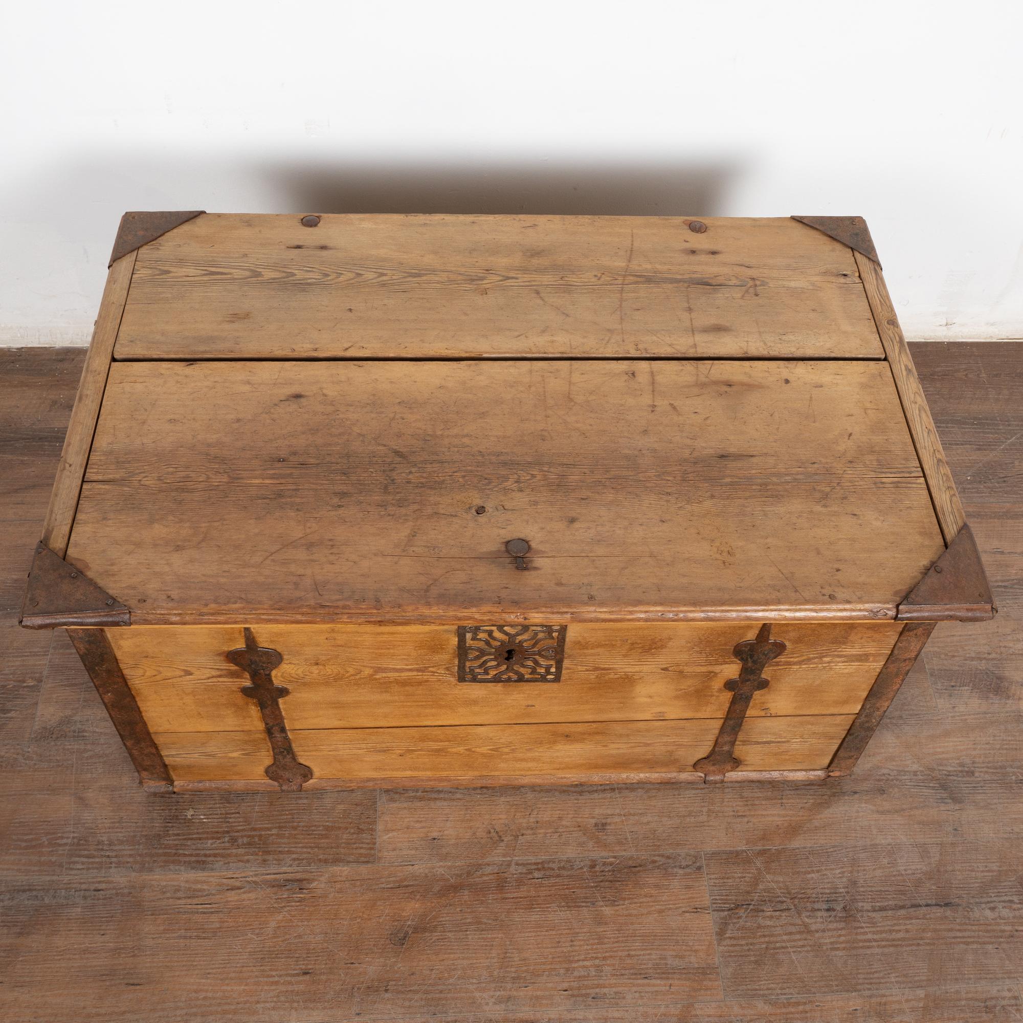 Wrought Iron 19th Century Pine Flat Top Trunk from Sweden