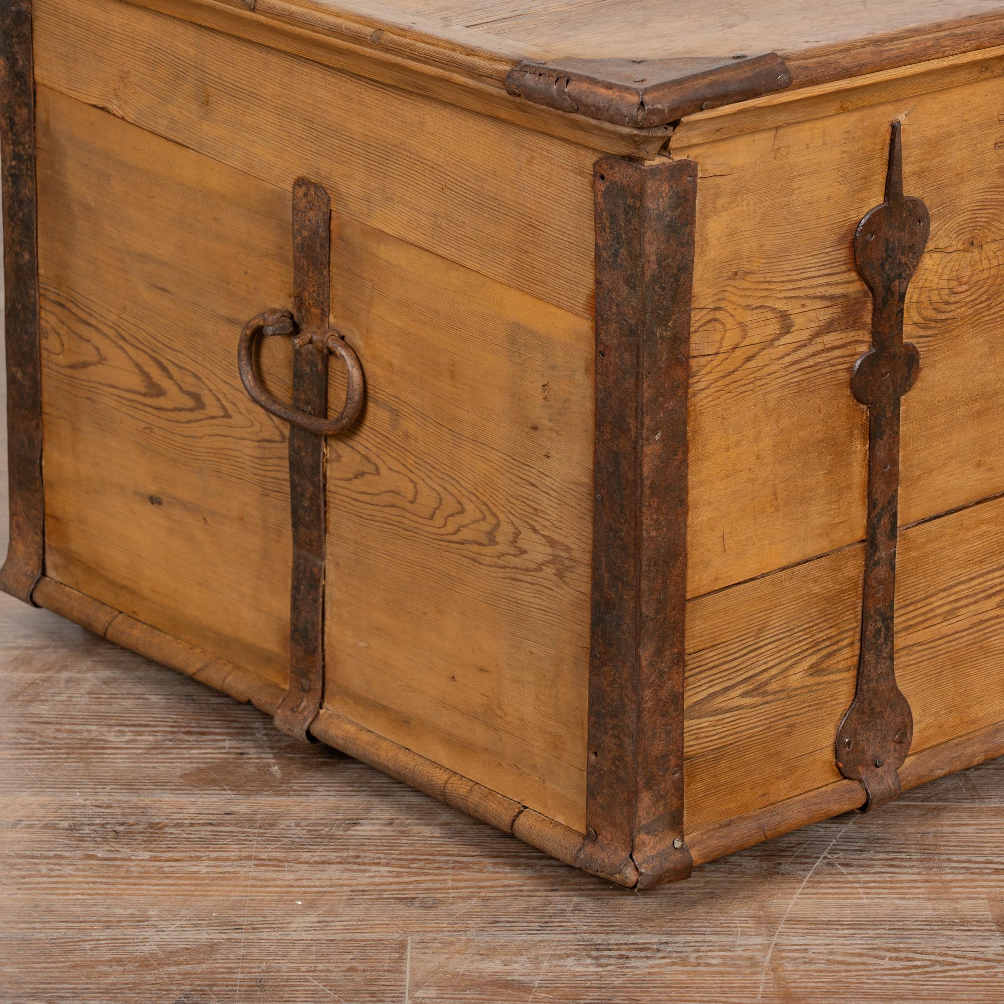 19th Century Pine Flat Top Trunk from Sweden 2