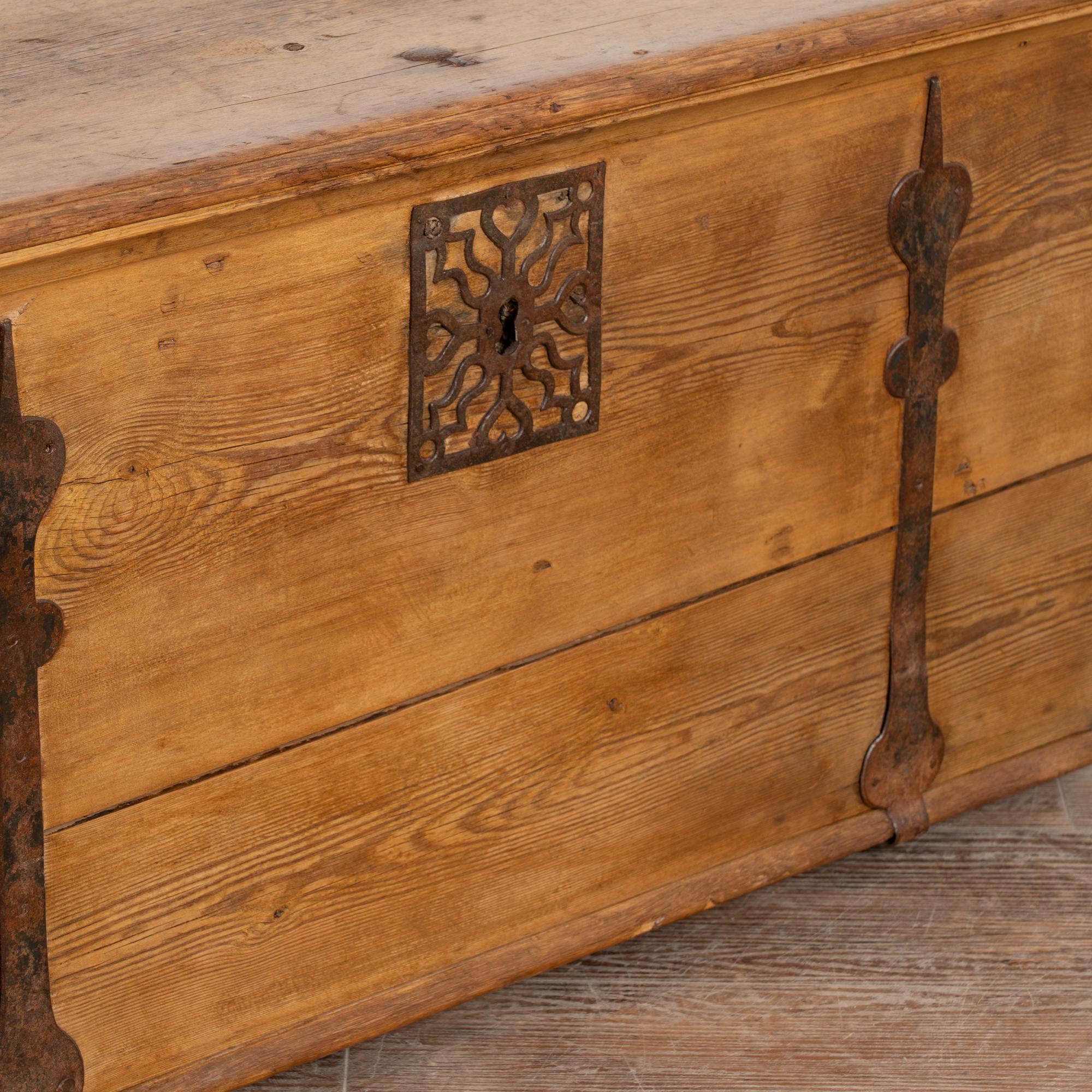 19th Century Pine Flat Top Trunk from Sweden 3
