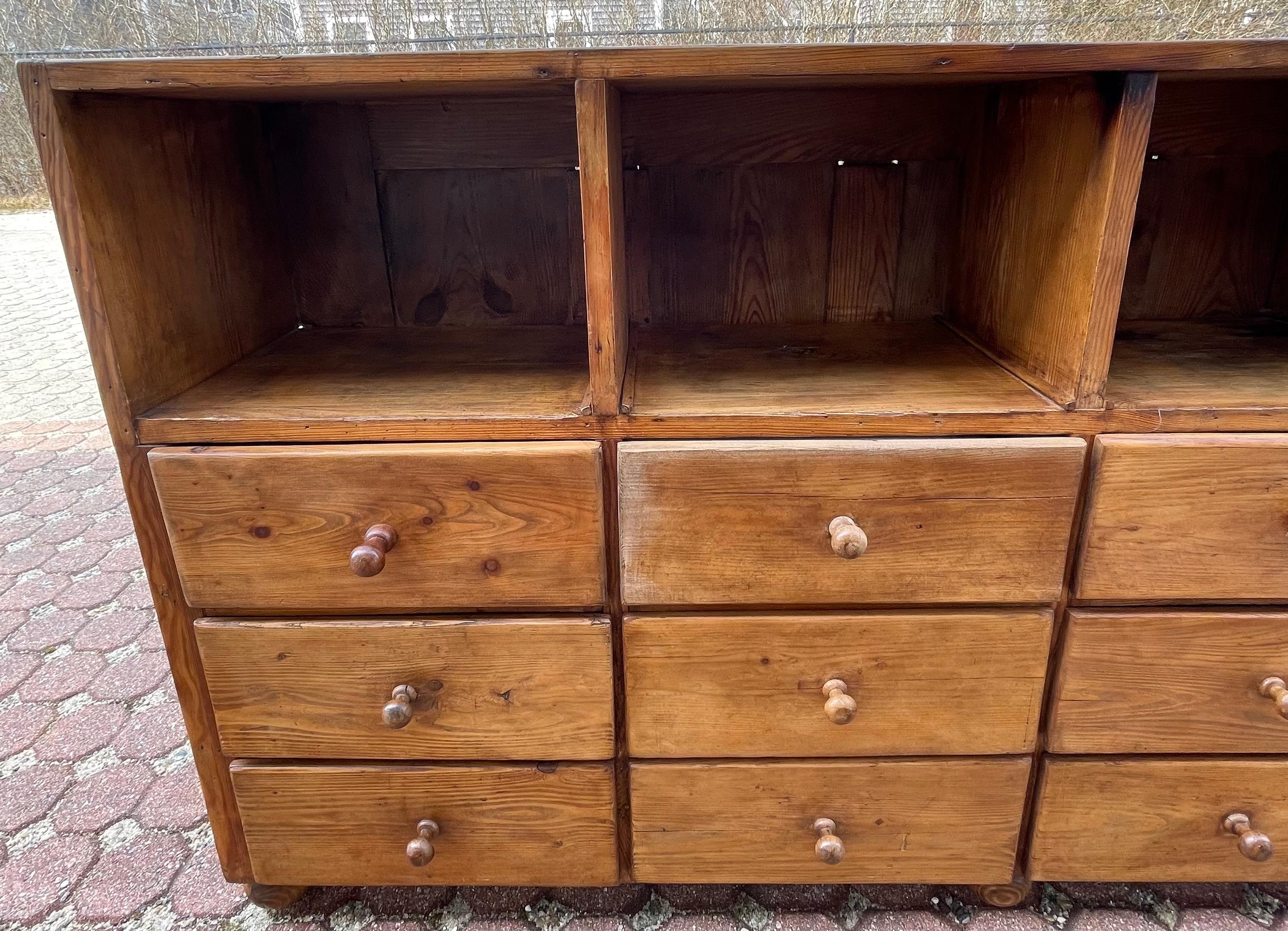 Woodwork 19th Century Pine Server with Cupboard Openings and Apothecary-type Drawers