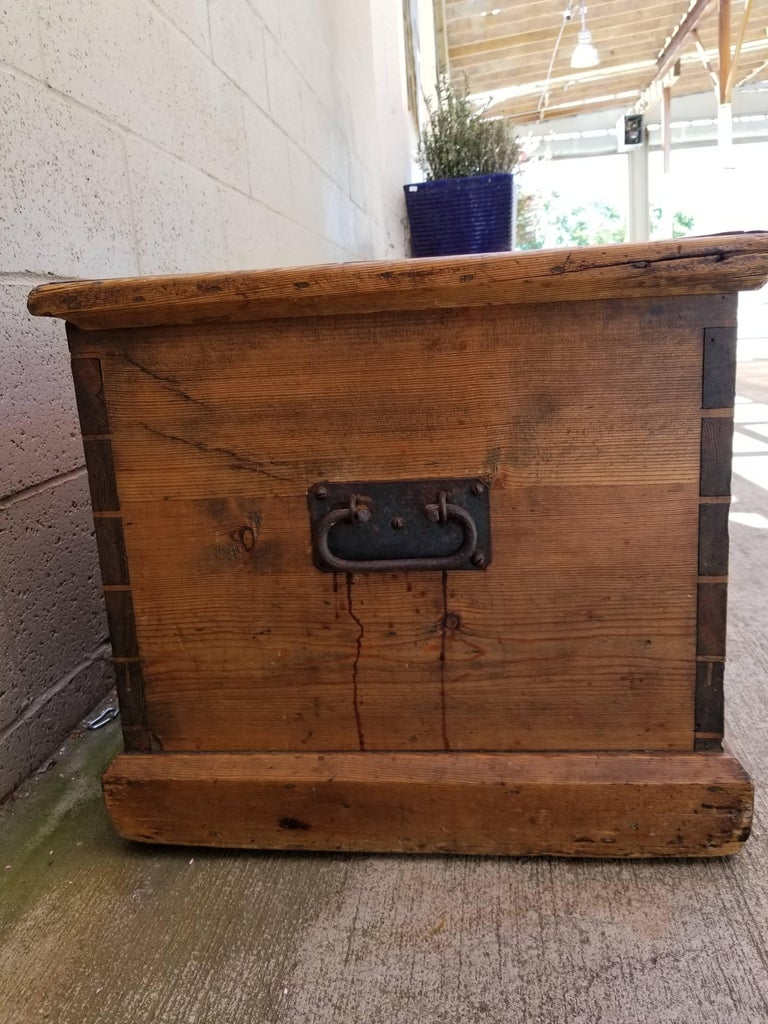 19th Century Pine Trunk For Sale at 1stDibs pine trunk for sale, pine