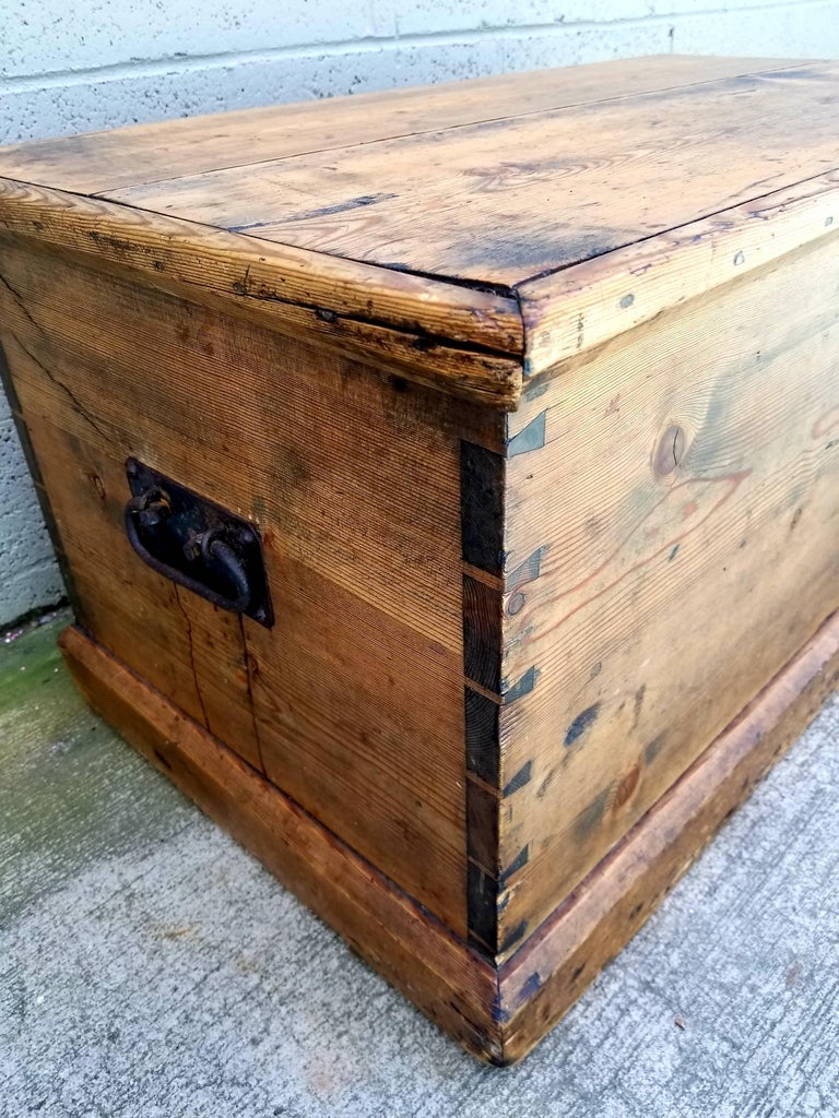 19th Century Pine Trunk For Sale at 1stDibs pine trunk for sale, pine