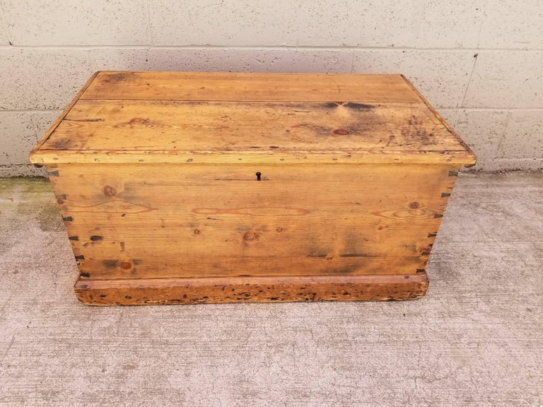 19th Century Pine Trunk For Sale at 1stDibs pine trunk for sale, pine