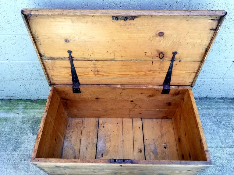 19th Century Pine Trunk For Sale at 1stDibs pine trunk for sale, pine