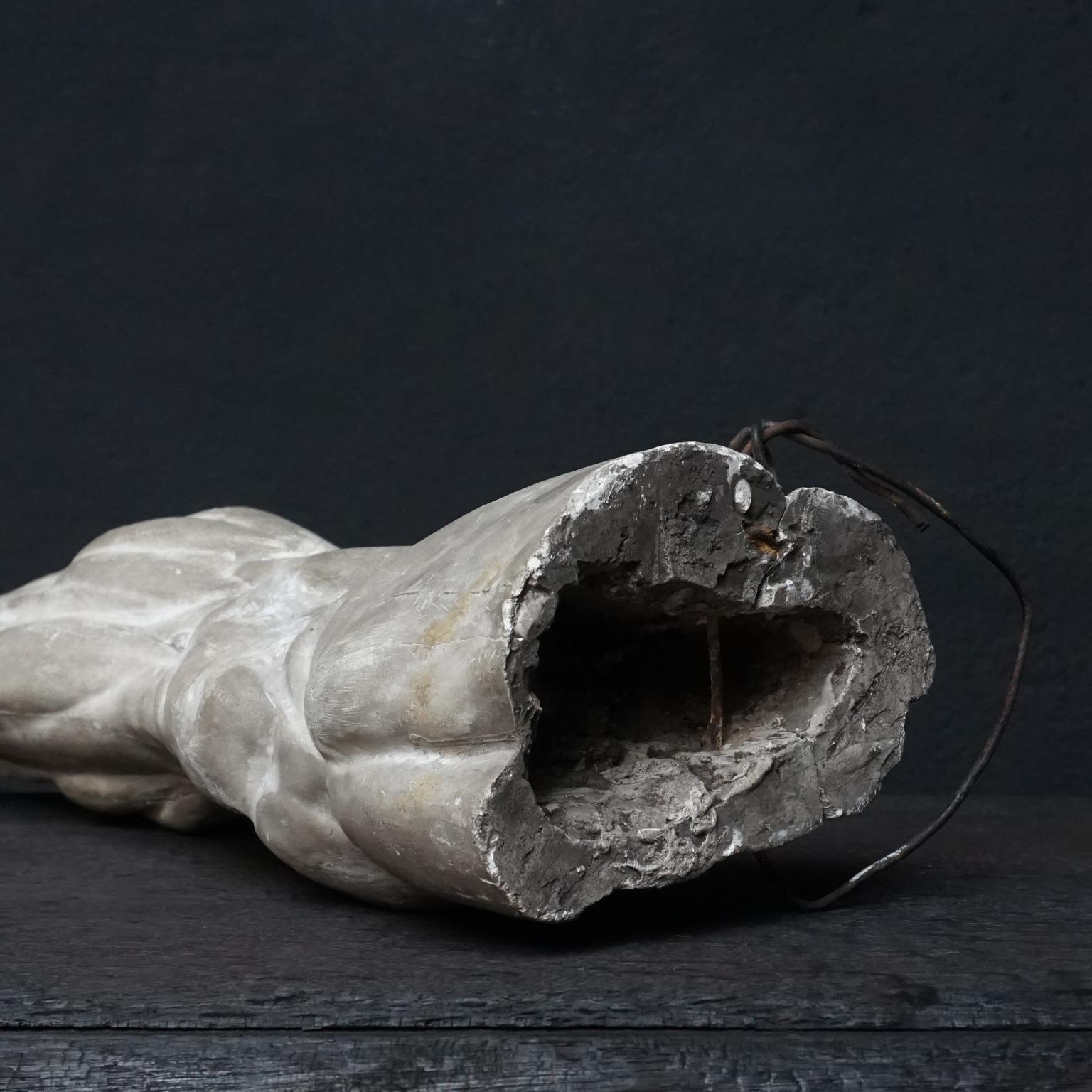 19th Century Plaster Muscle Study of Human Leg from the Rijksacademie, Amsterdam 9