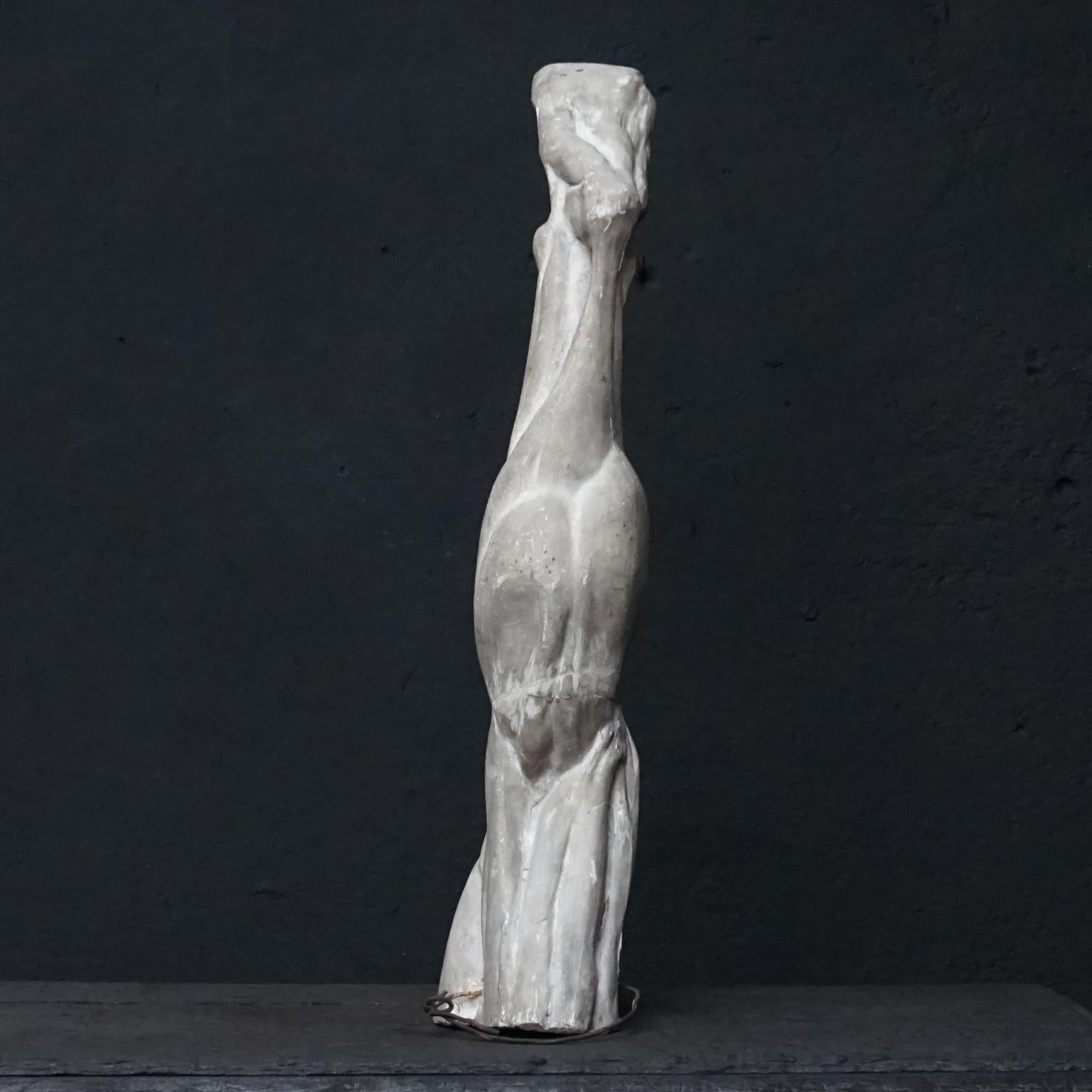 19th Century Plaster Muscle Study of Human Leg from the Rijksacademie, Amsterdam In Good Condition In Haarlem, NL