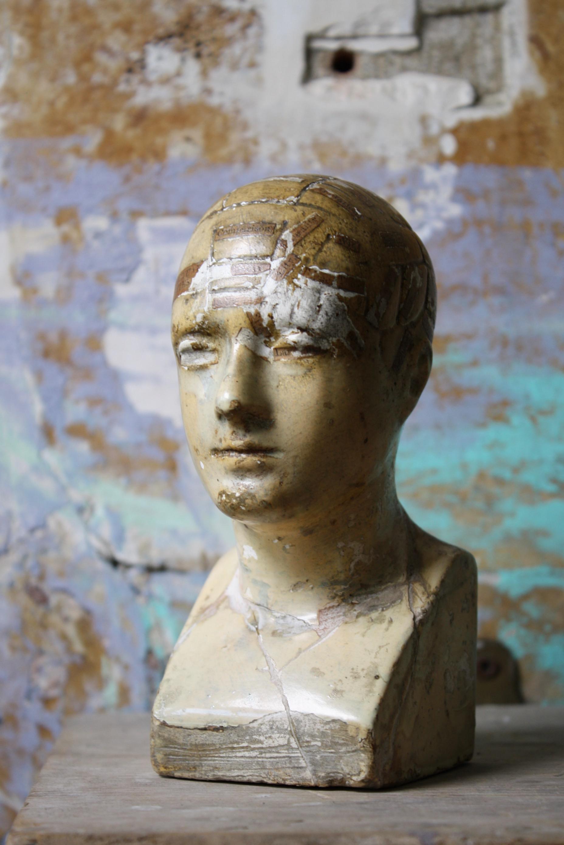 A tactile plaster cast phrenology head, primitively produced yet highly decorative and a obvious rare survivor. A inscribed label of the maker Vago along with the date 1869 

A handful of the original paper labels have gone astray over the years,