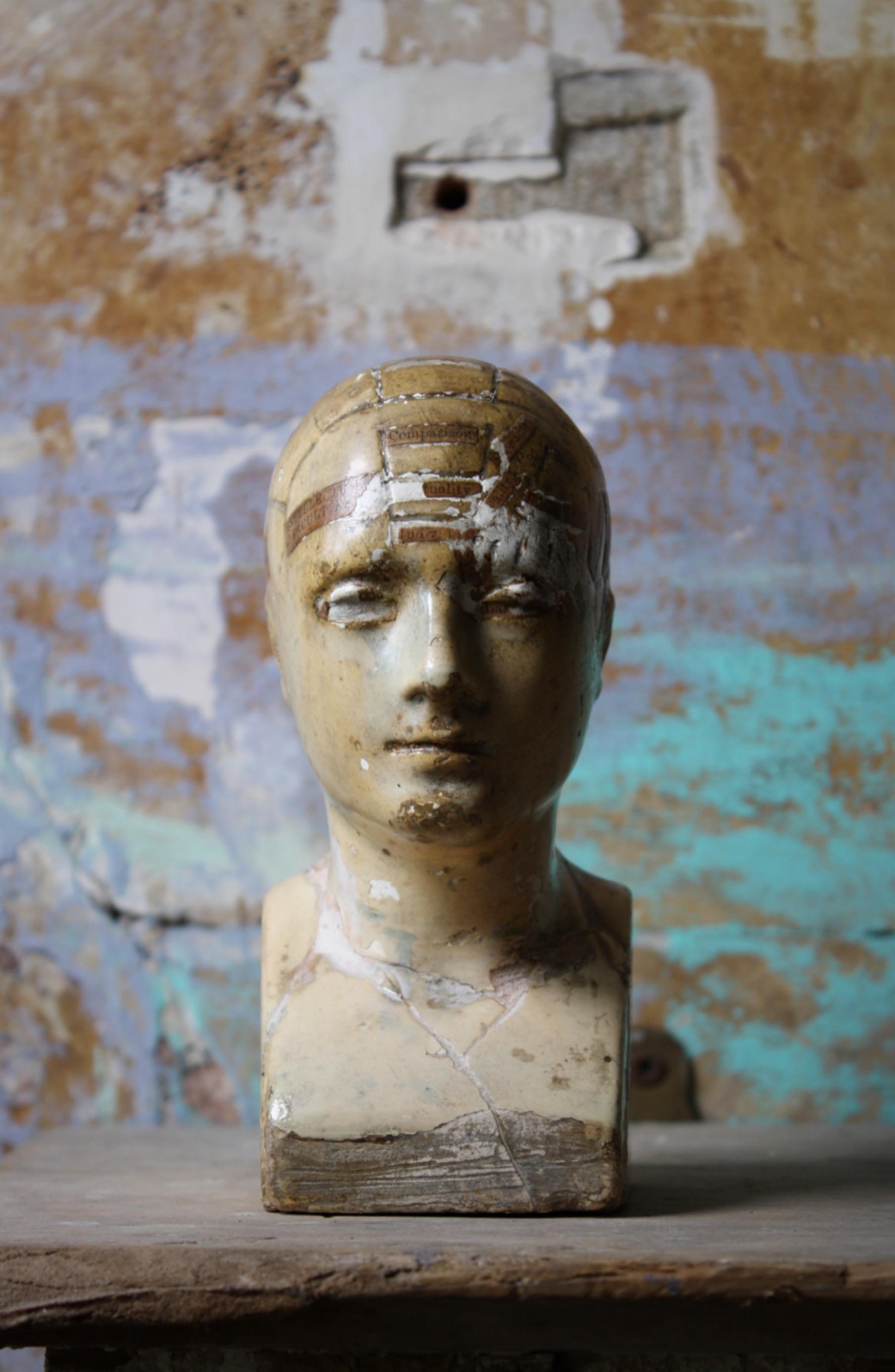 19th Century Plaster Phrenology Bust by Vago of London, 1869 For Sale 1