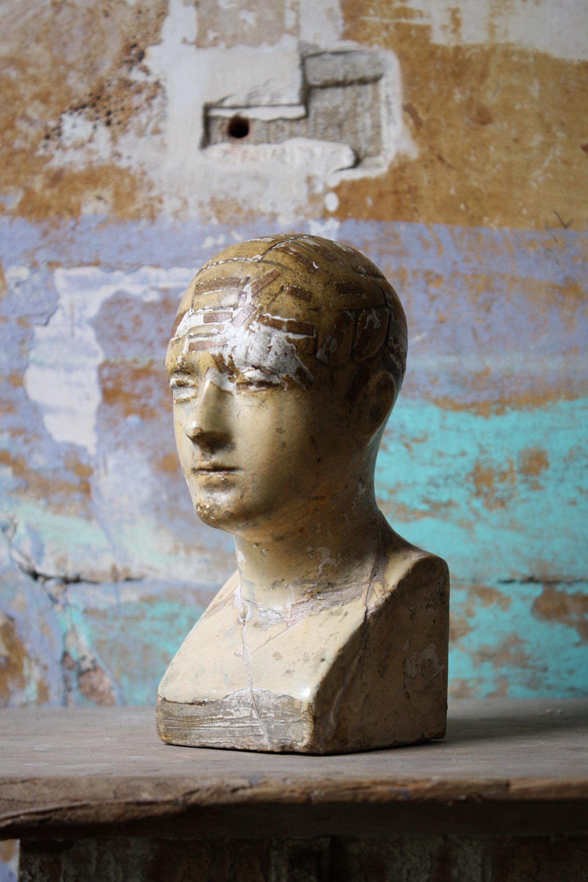 19th Century Plaster Phrenology Bust by Vago of London, 1869 For Sale 2