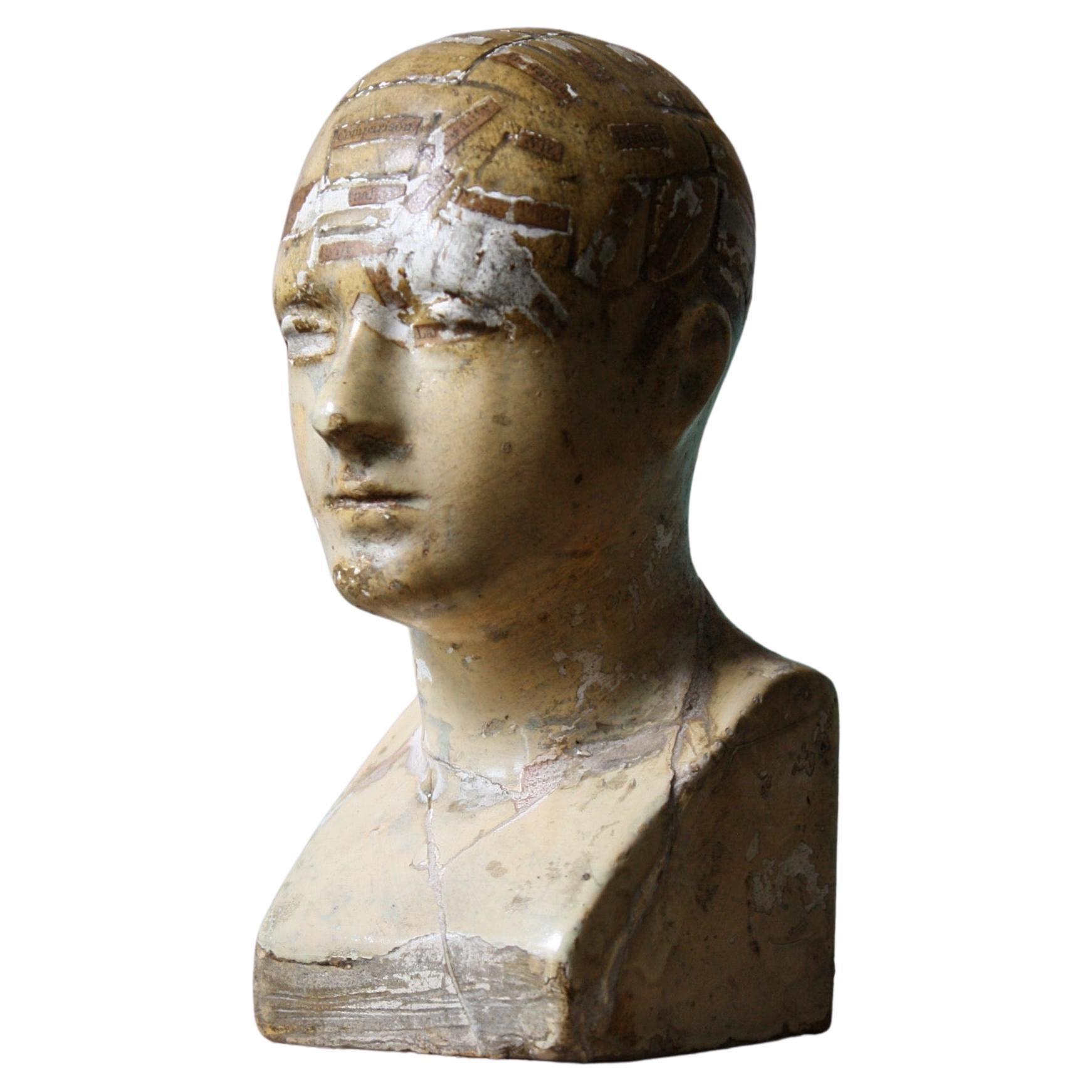 19th Century Plaster Phrenology Bust by Vago of London, 1869 For Sale