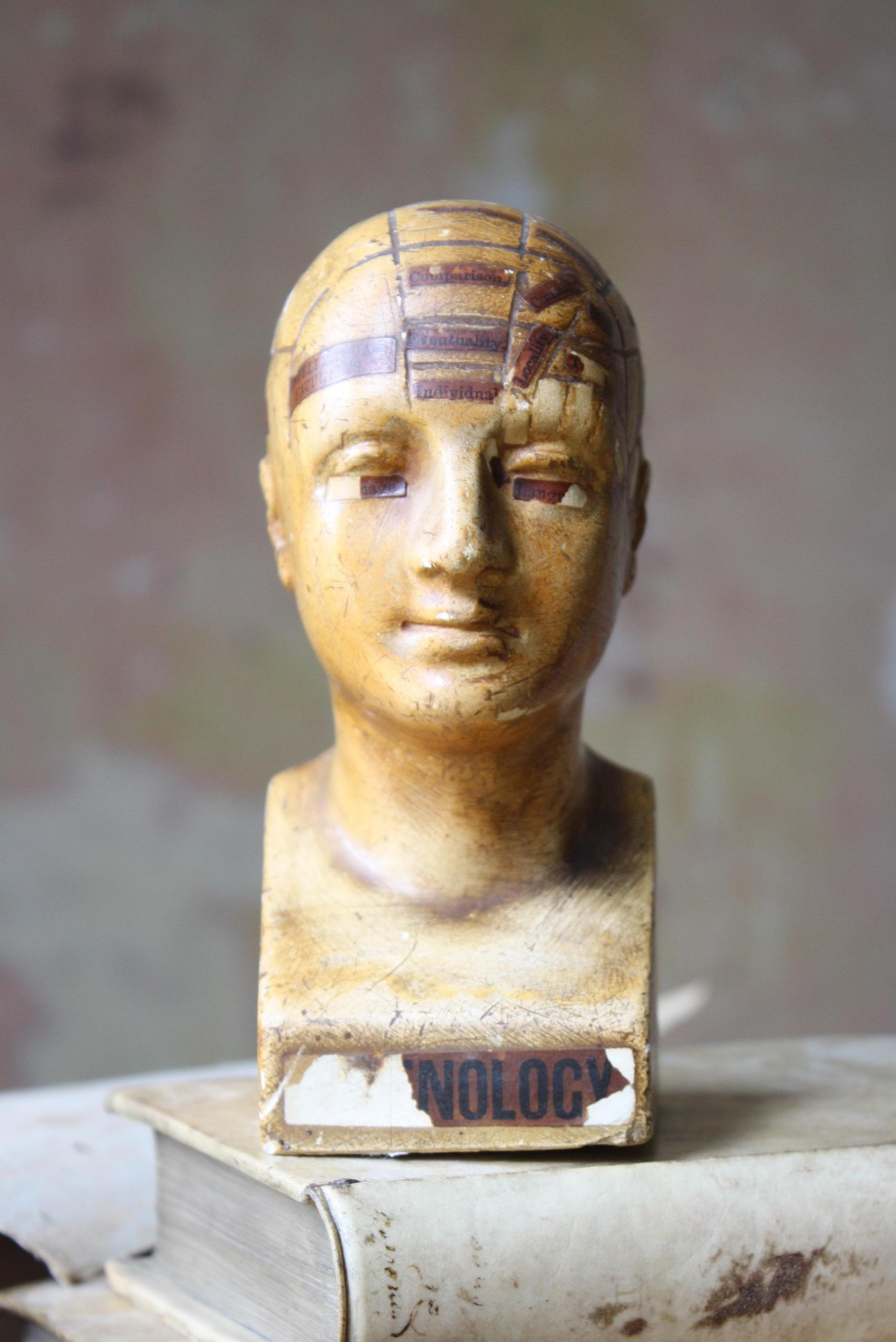 19th Century Plaster Phrenology Bust by Vago of London, 1898 11