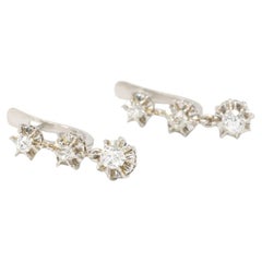 19th Century Platinum and Diamonds Earrings