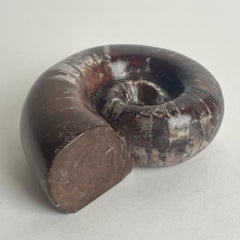 19th Century Polished Ammonite Paperweight