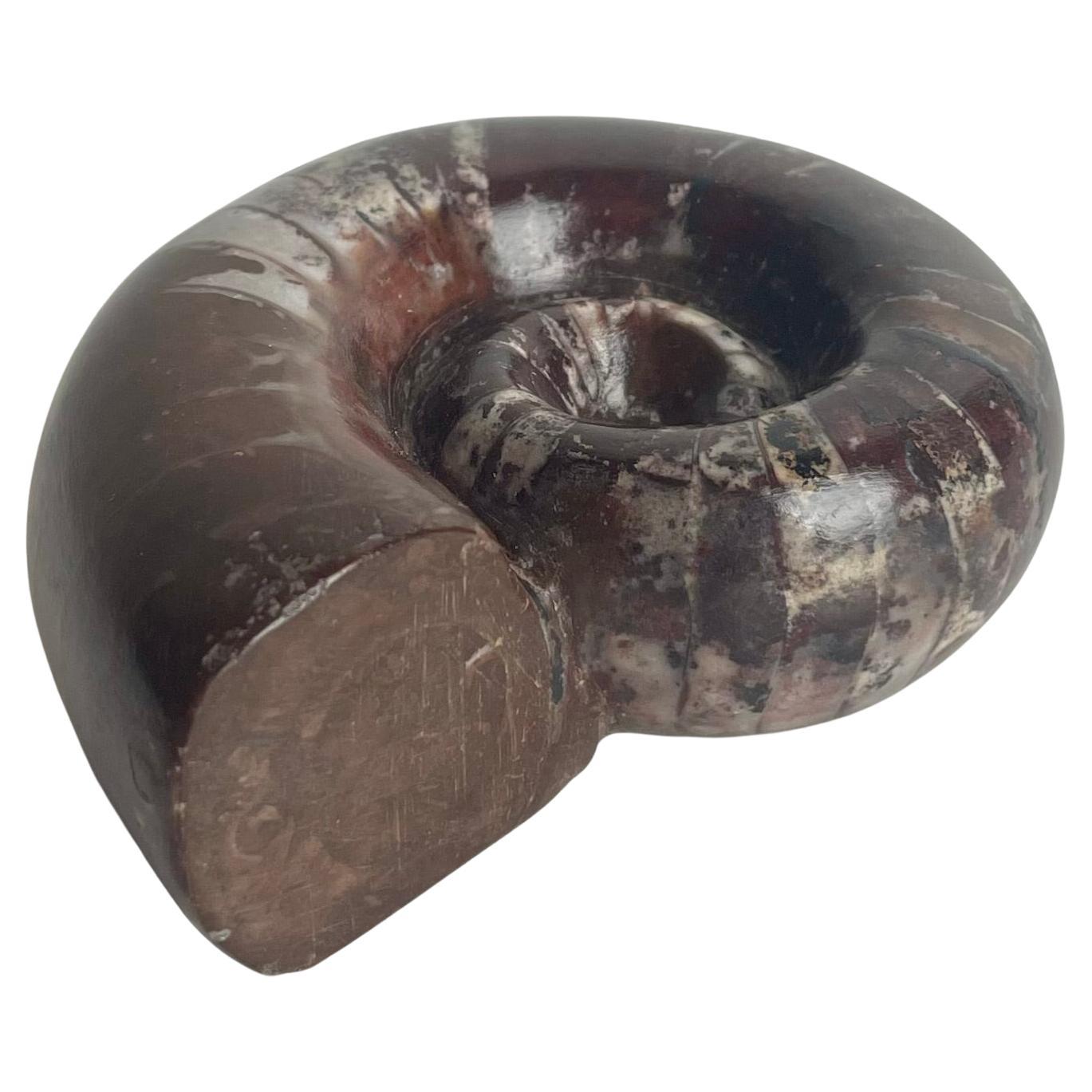 19th Century Polished Ammonite Paperweight