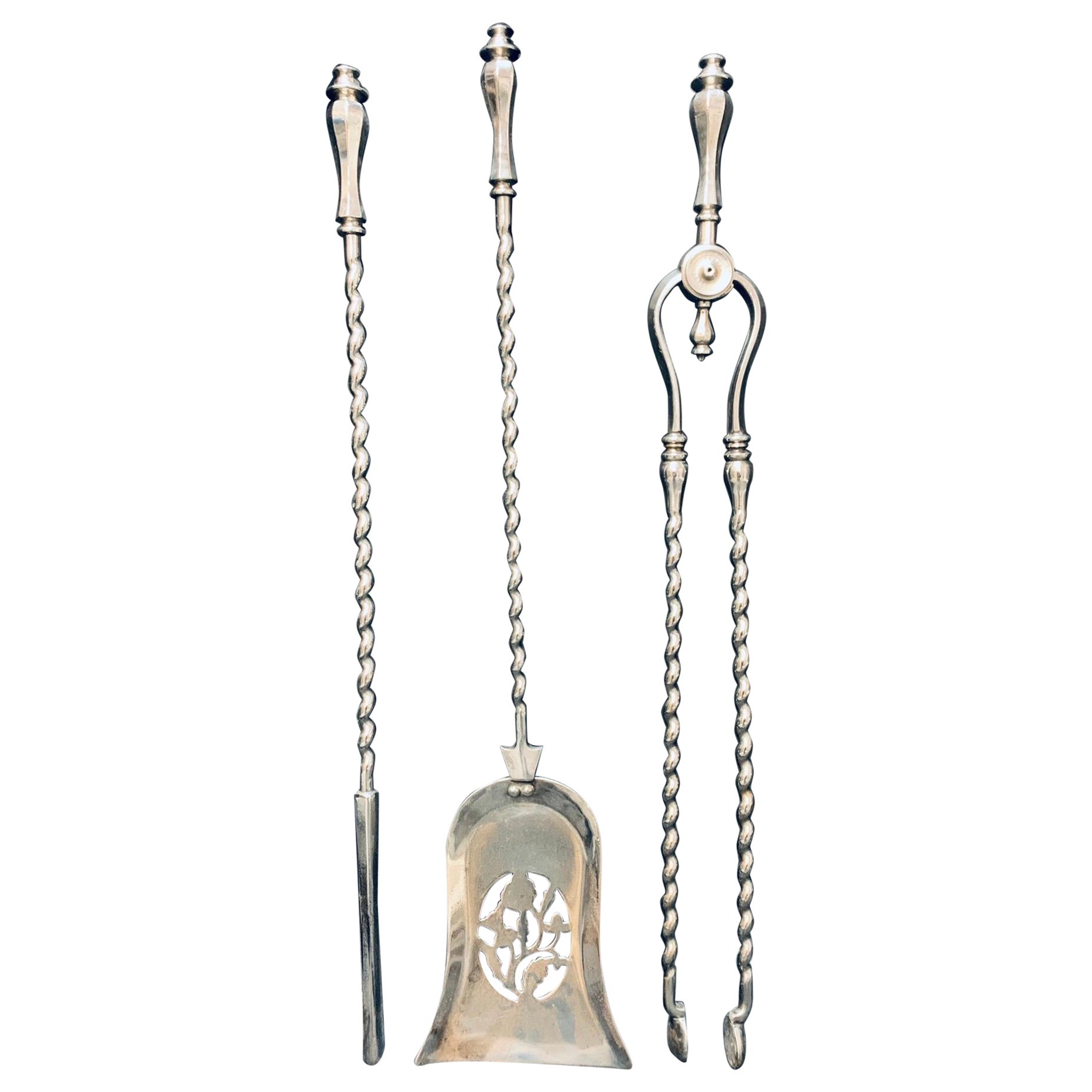 19th Century, Polished Georgian Barley Twist Fire Tools For Sale