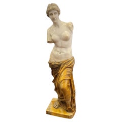19th Century, Polychrome Marble Sculpture, Aphrodite of Milo