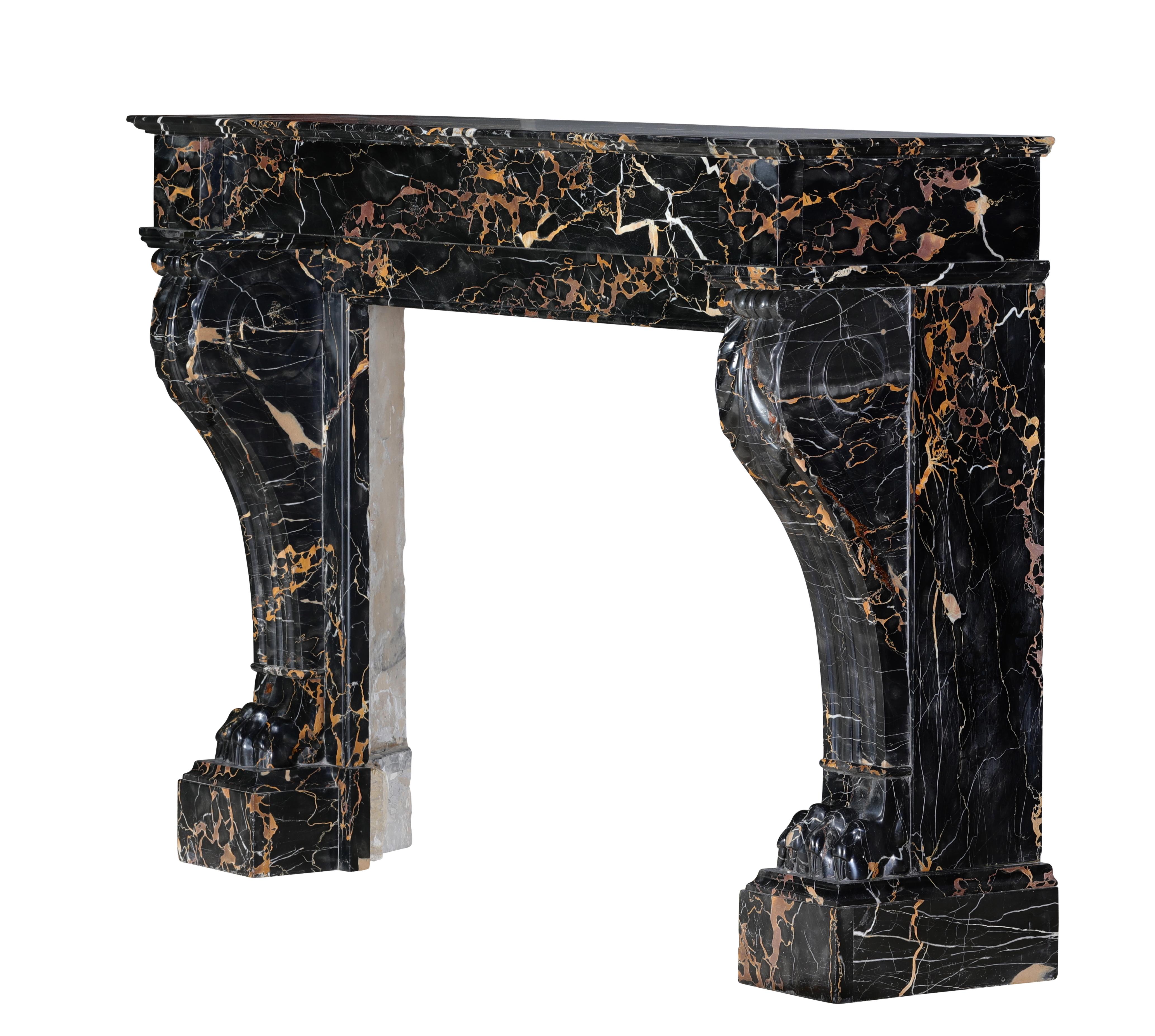 19th Century Portor Marble Fireplace Mantel With Lion Paws - Rare Luxury For Sale 5