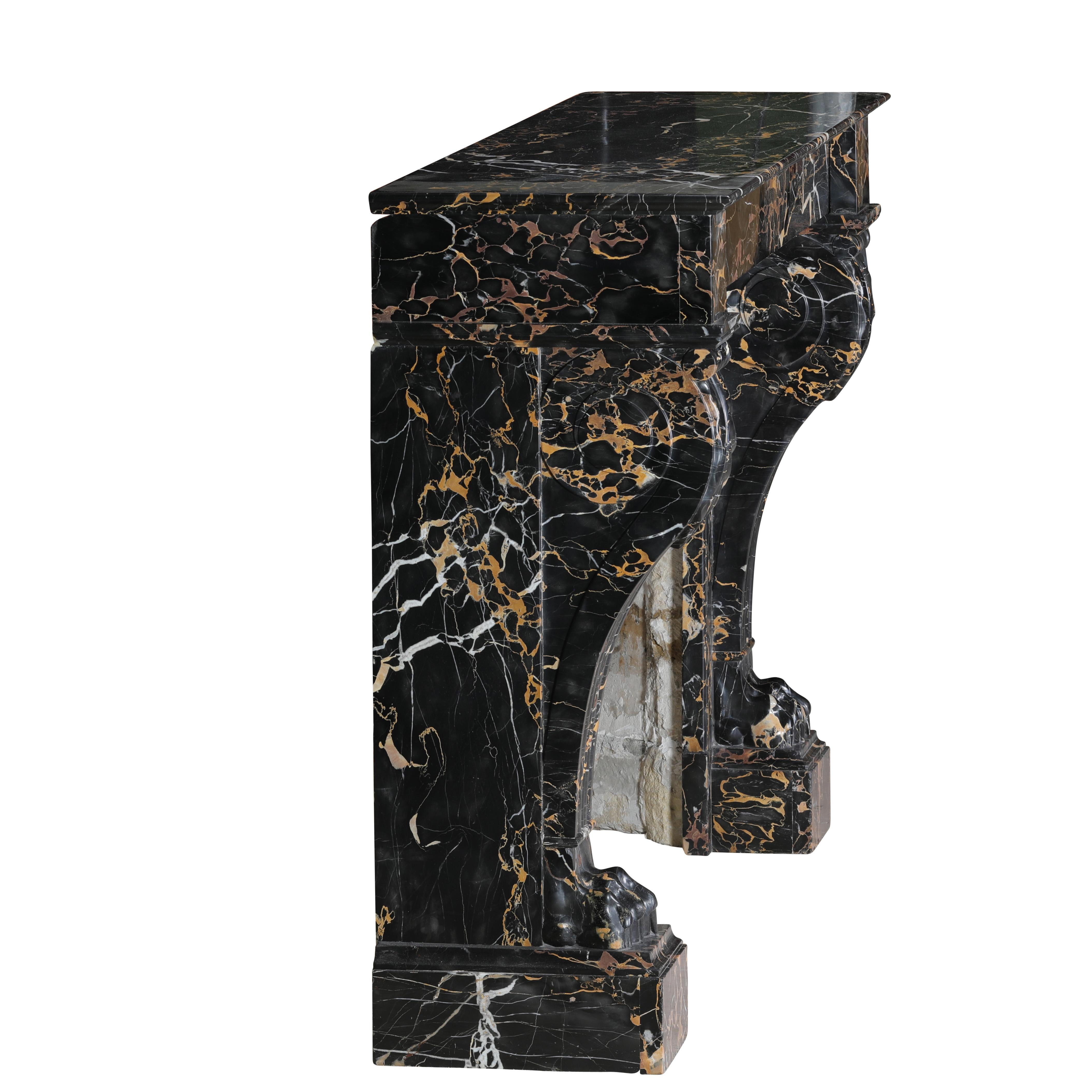 19th Century Portor Marble Fireplace Mantel With Lion Paws - Rare Luxury For Sale 6