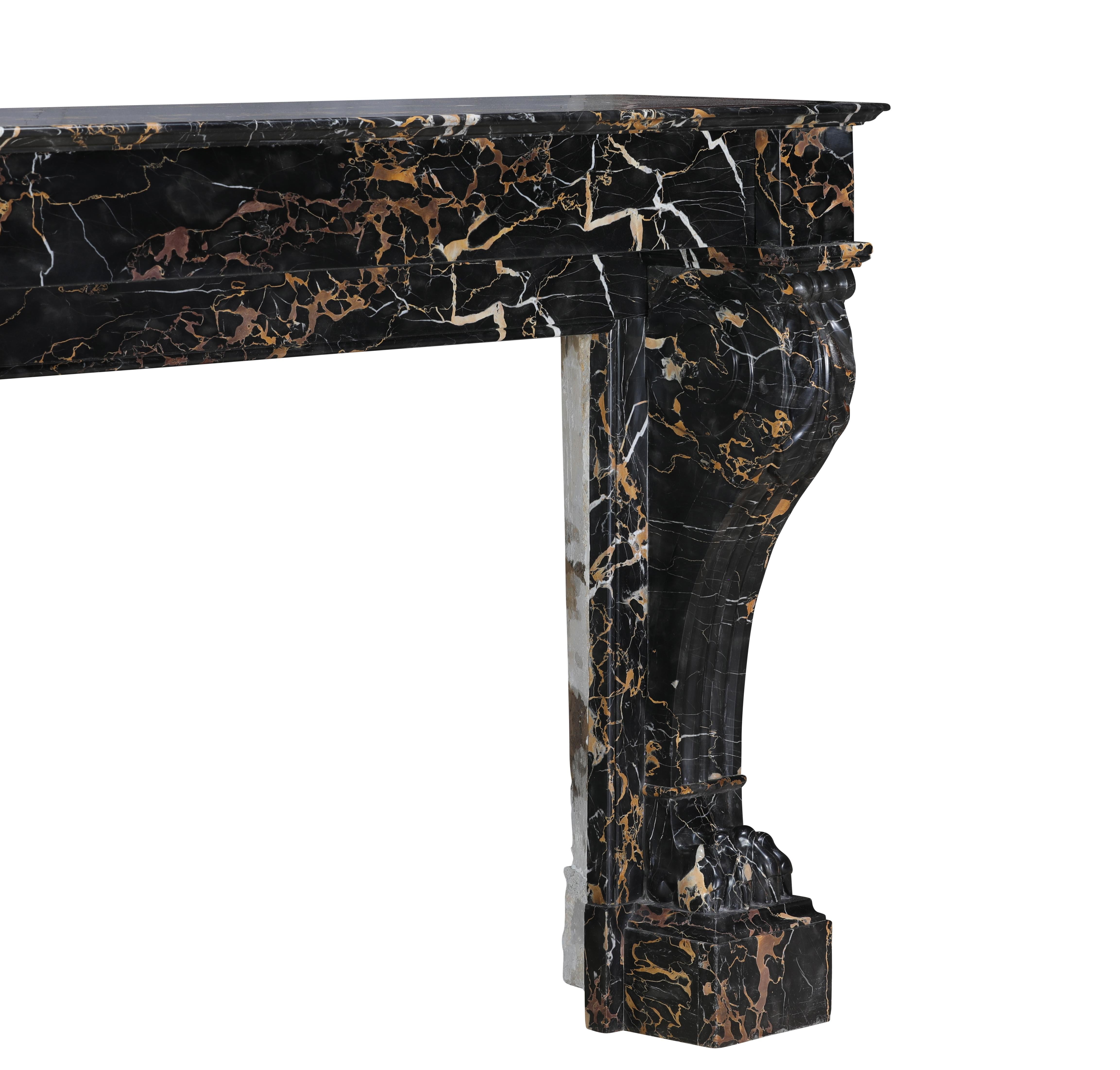 19th Century Portor Marble Fireplace Mantel With Lion Paws - Rare Luxury For Sale 10