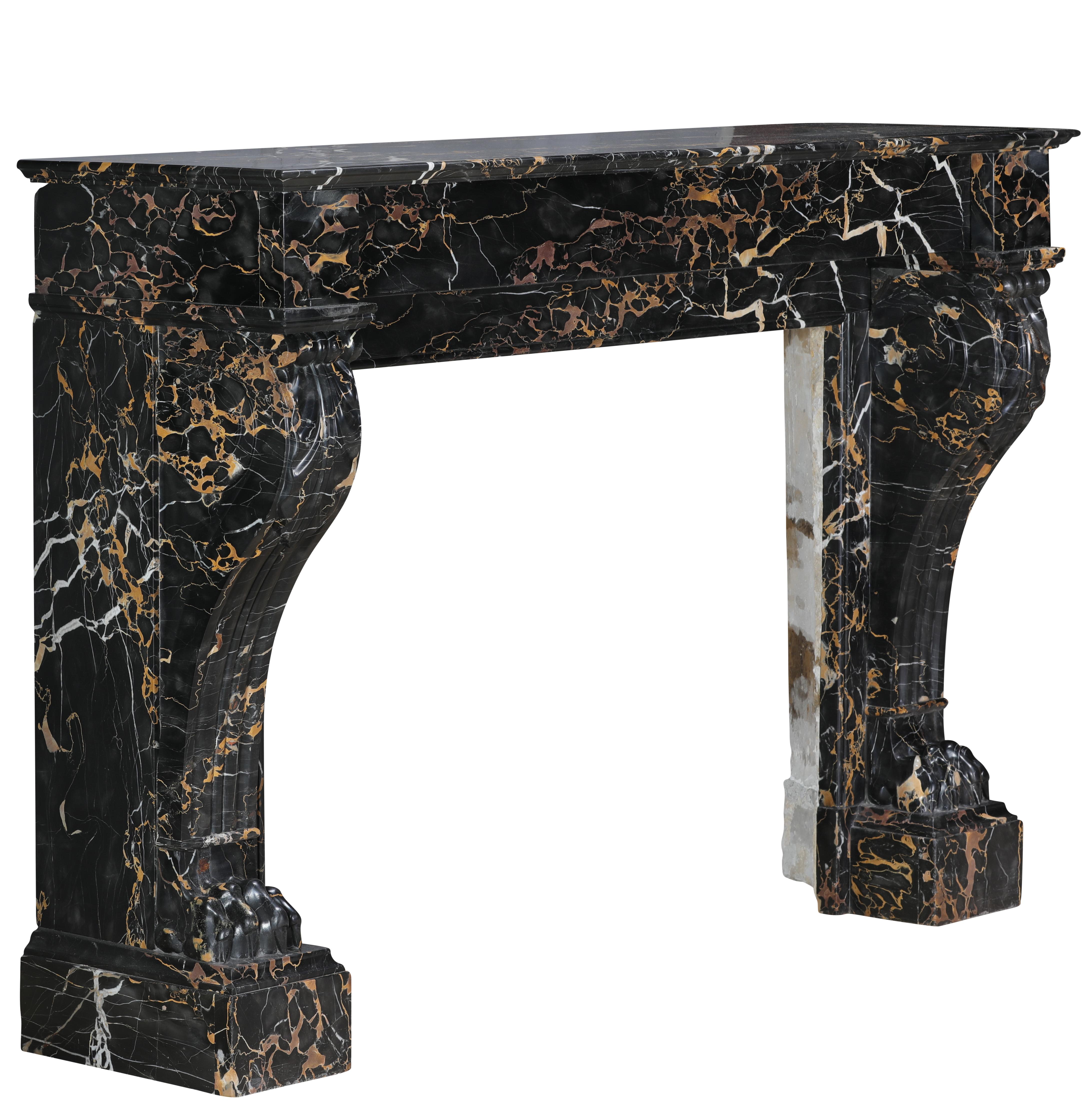 19th Century Portor Marble Fireplace Mantel With Lion Paws - Rare Luxury For Sale 11