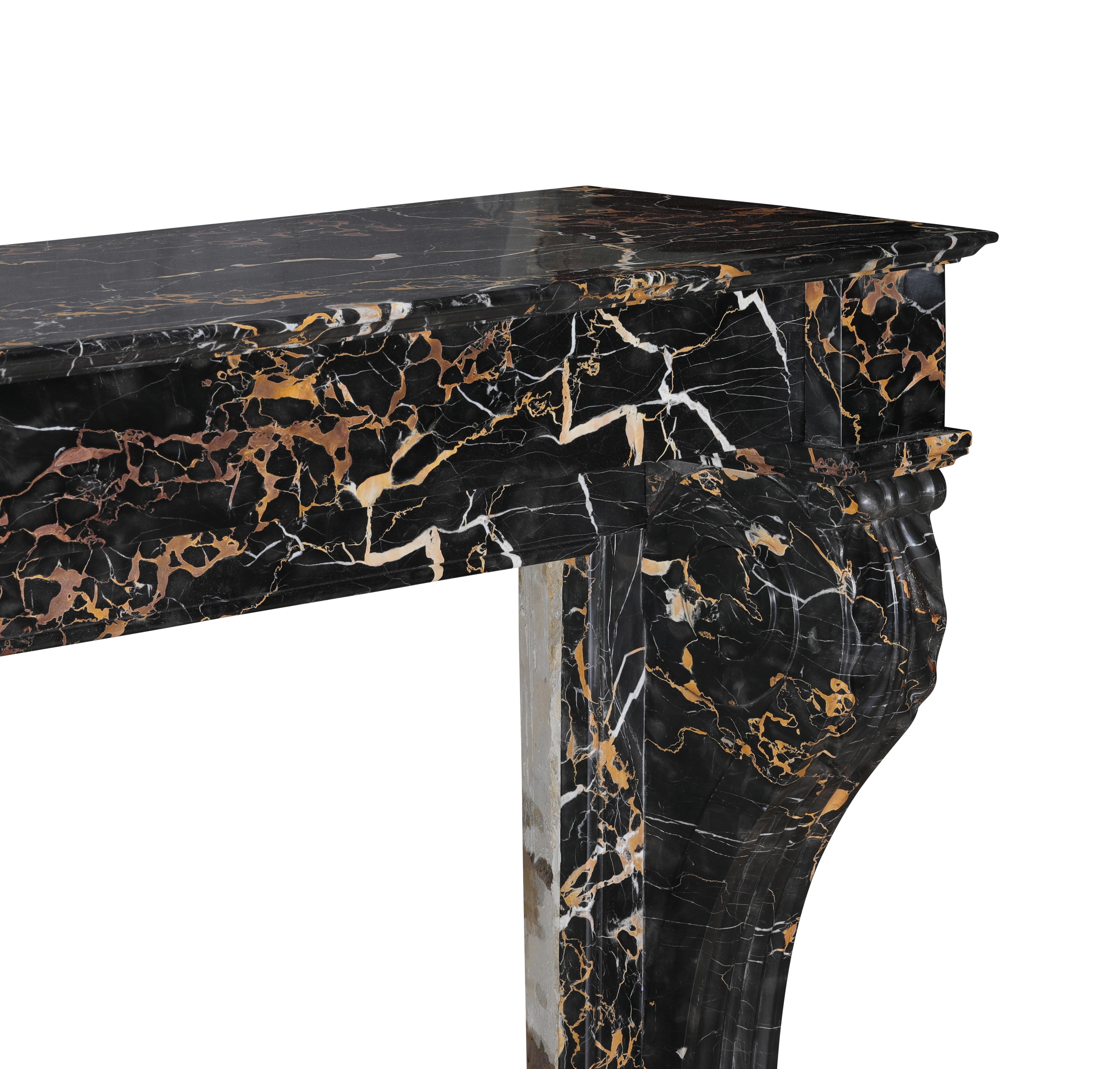 19th Century Portor Marble Fireplace Mantel With Lion Paws - Rare Luxury For Sale 14
